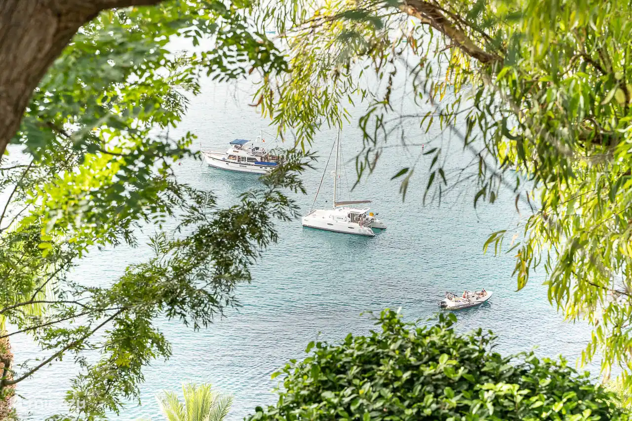 View from the terrace.