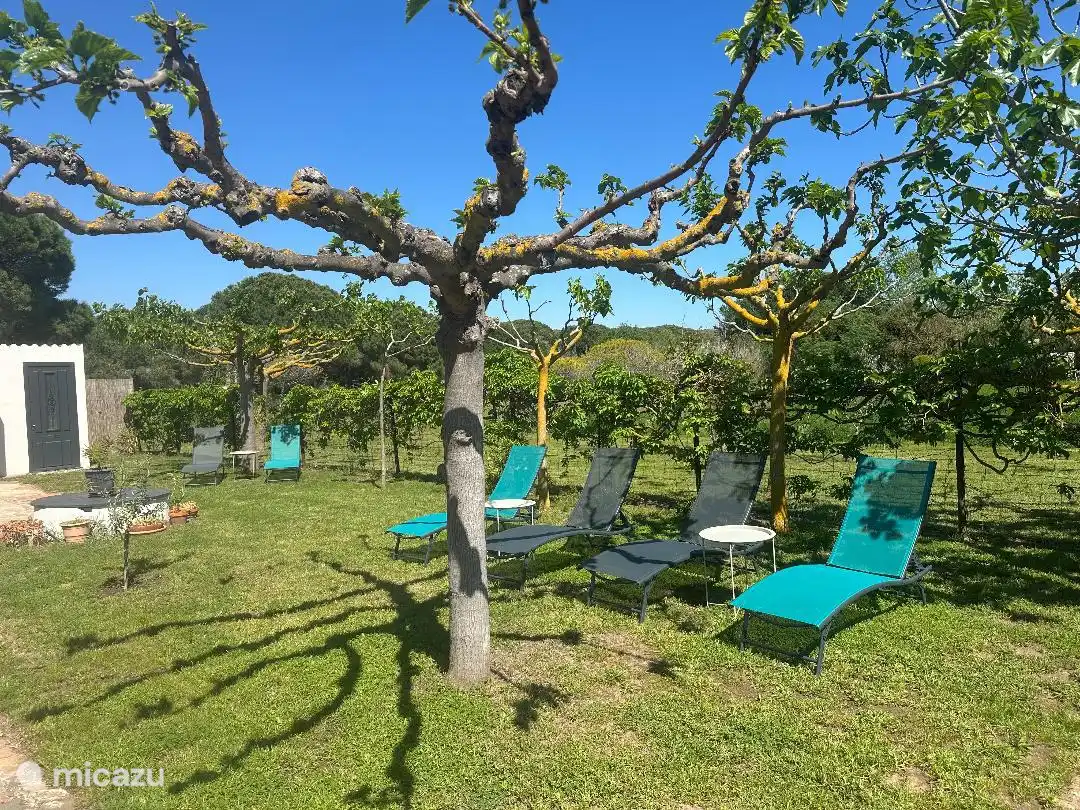 Rust-/ontspanningsruimte