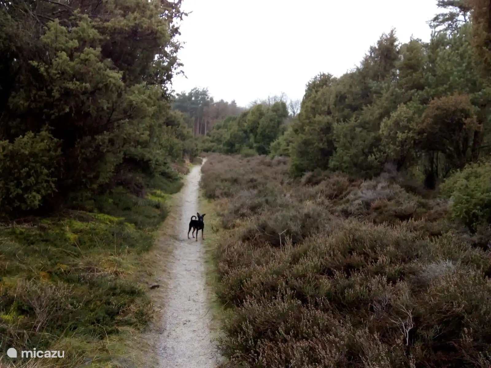 Wanderweg in der Nähe