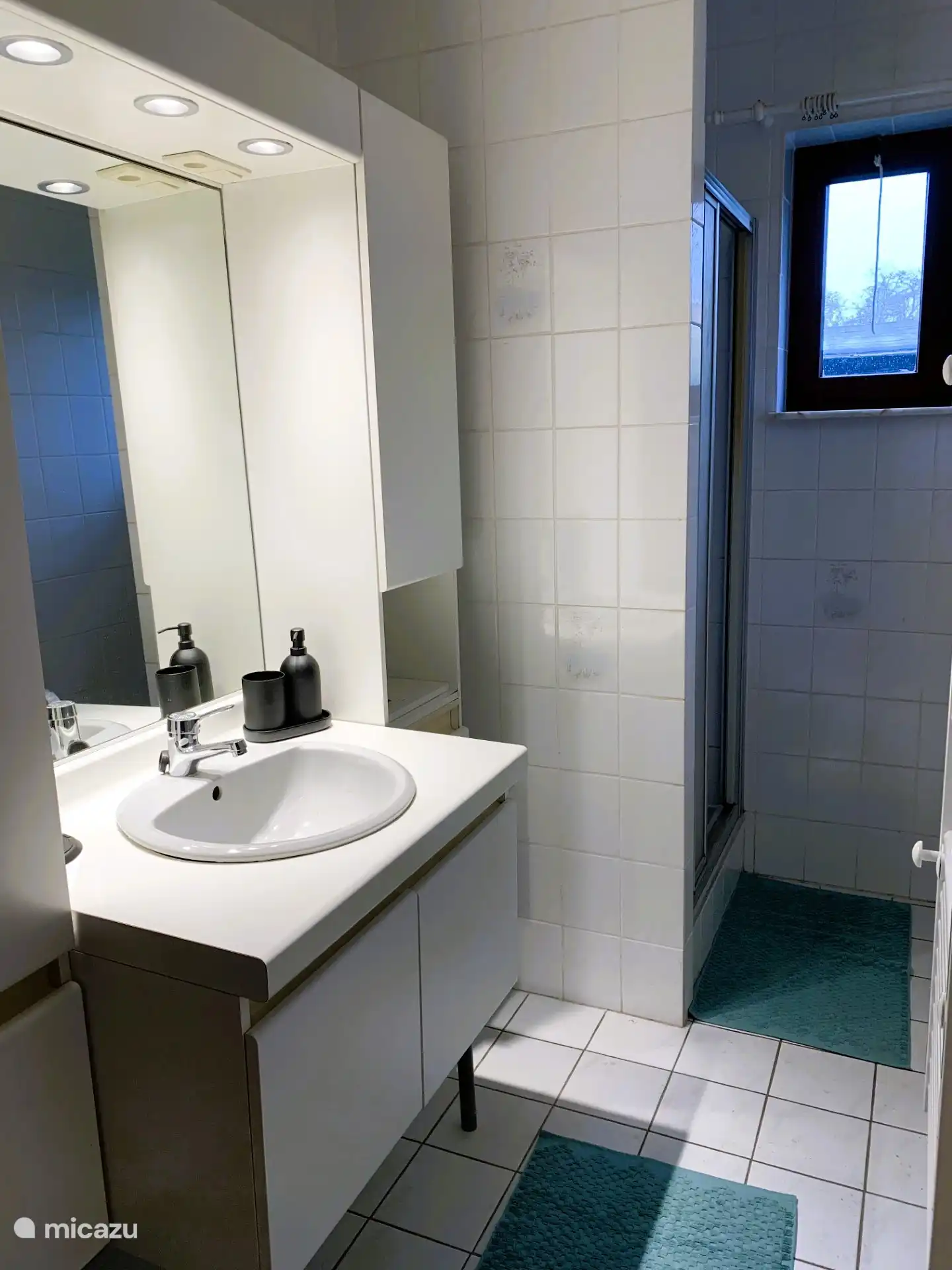 Badkamer 2: douche, wastafel