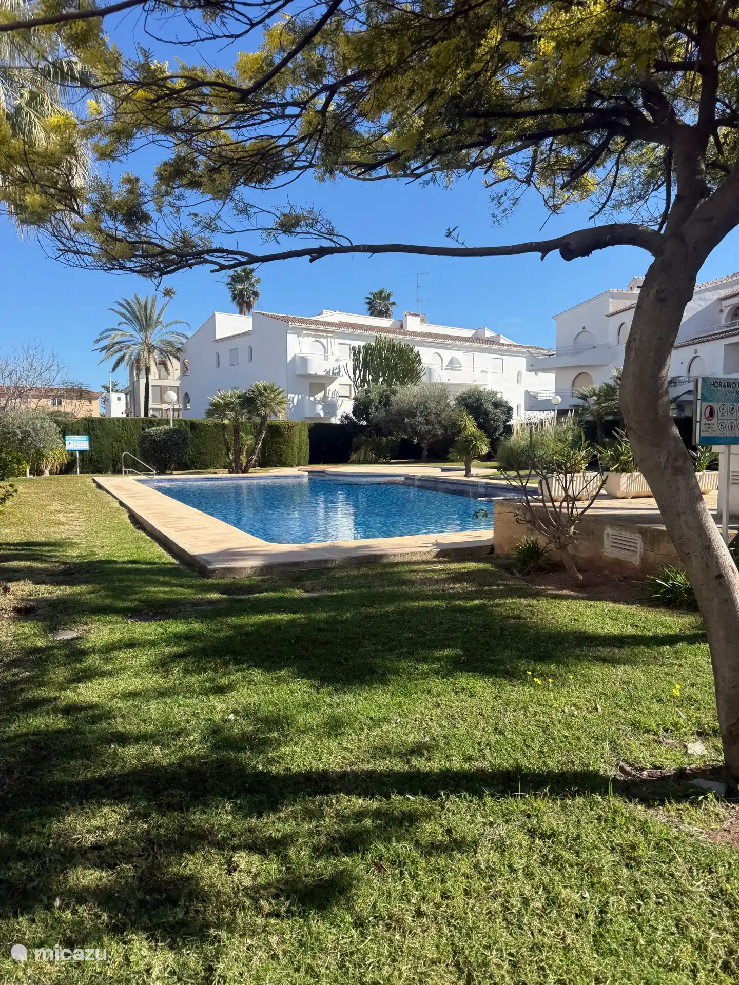 ¡La piscina compartida es genial! 