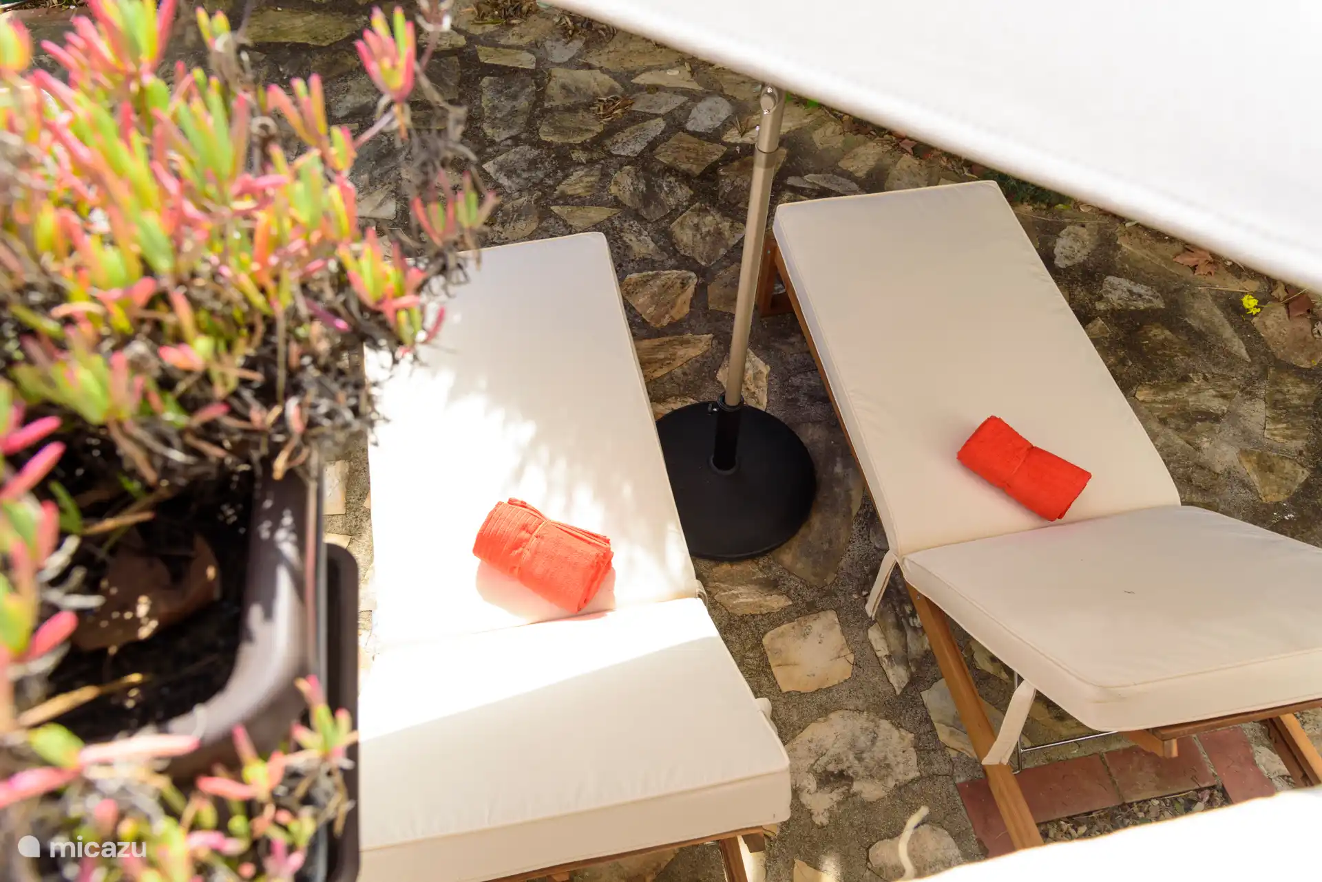 Mis propias tumbonas