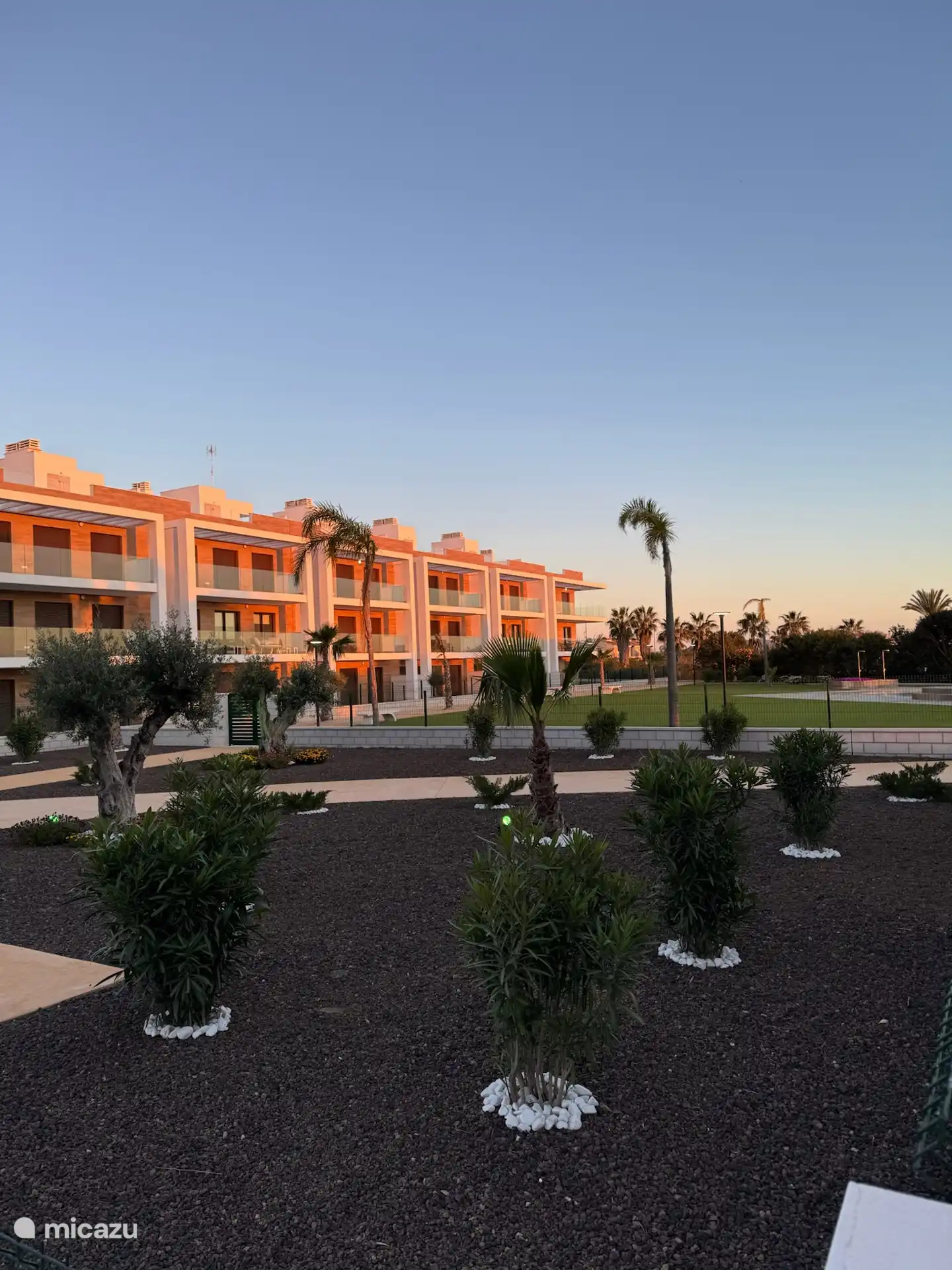 El jardín y la manzana enfrente de nuestro piso. 