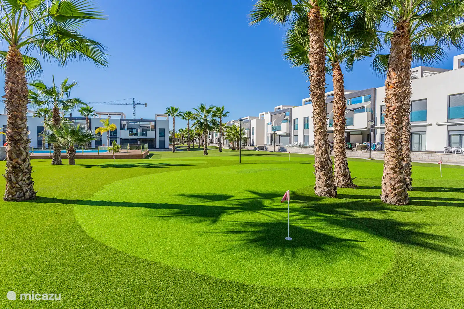 Gemeenschappelijke tuin