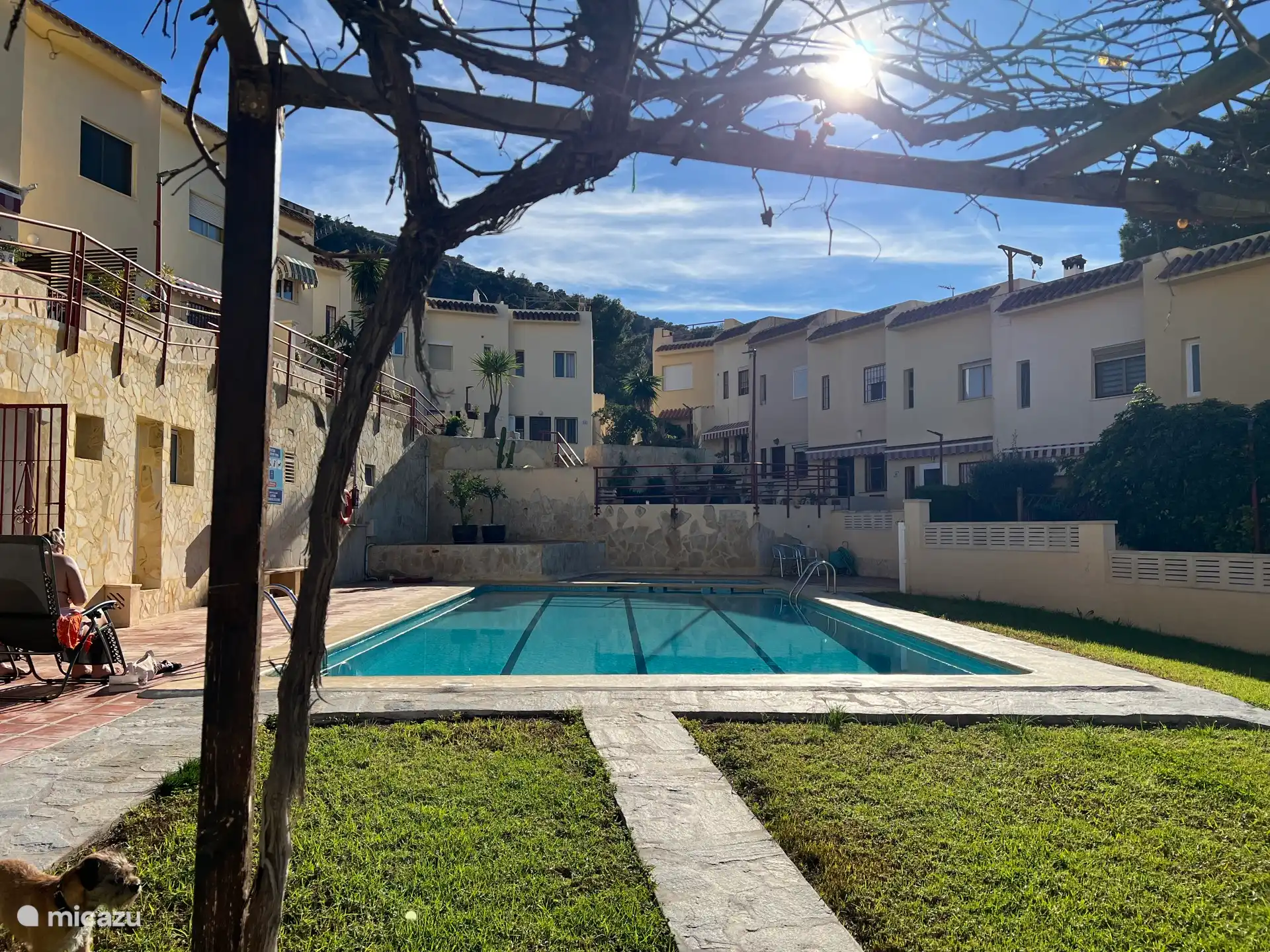 Binnentuin met zwembad 