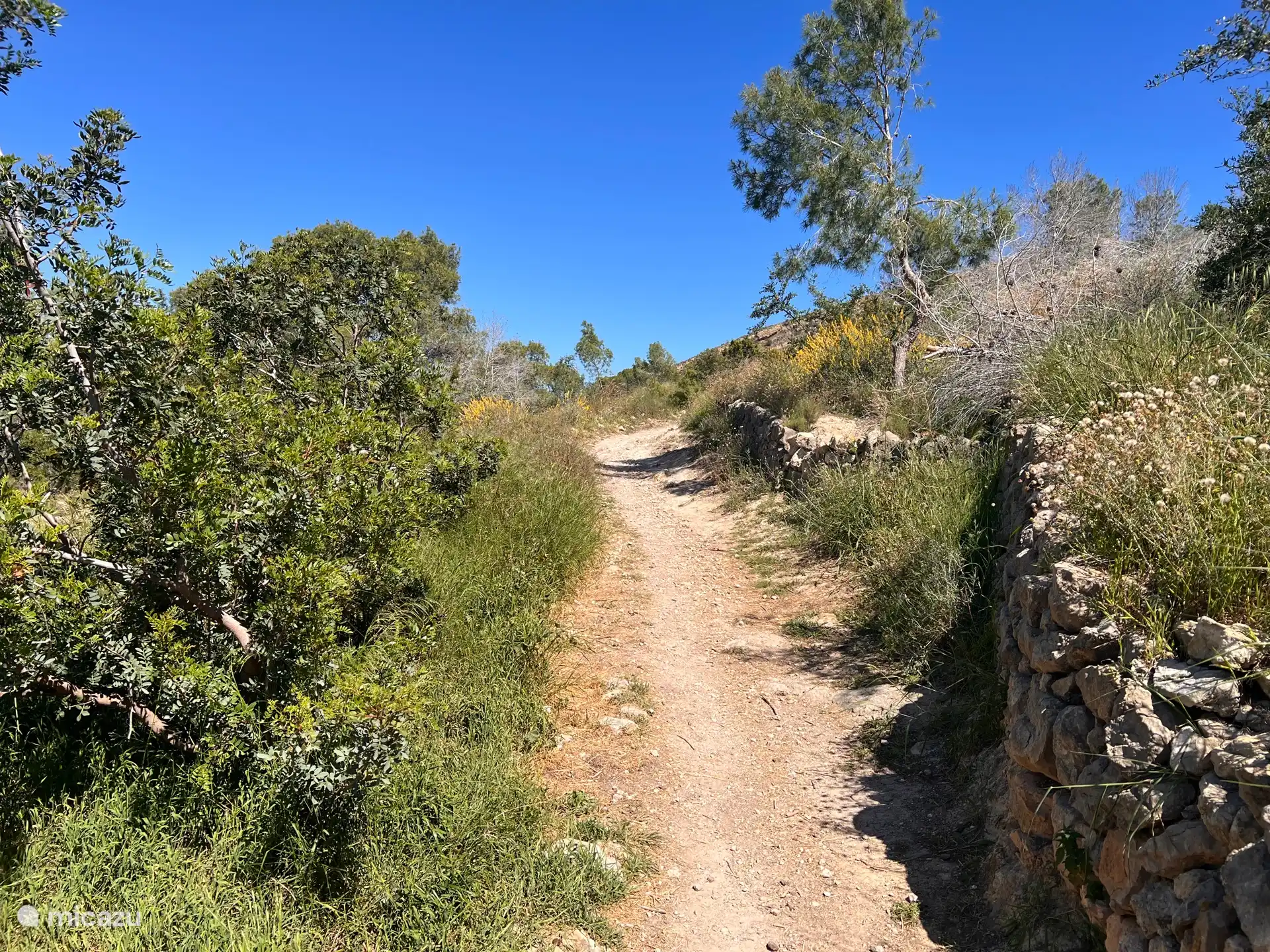 Sierra Gelada next door