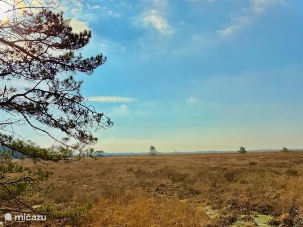 Natuurgebied Fochteloërveen