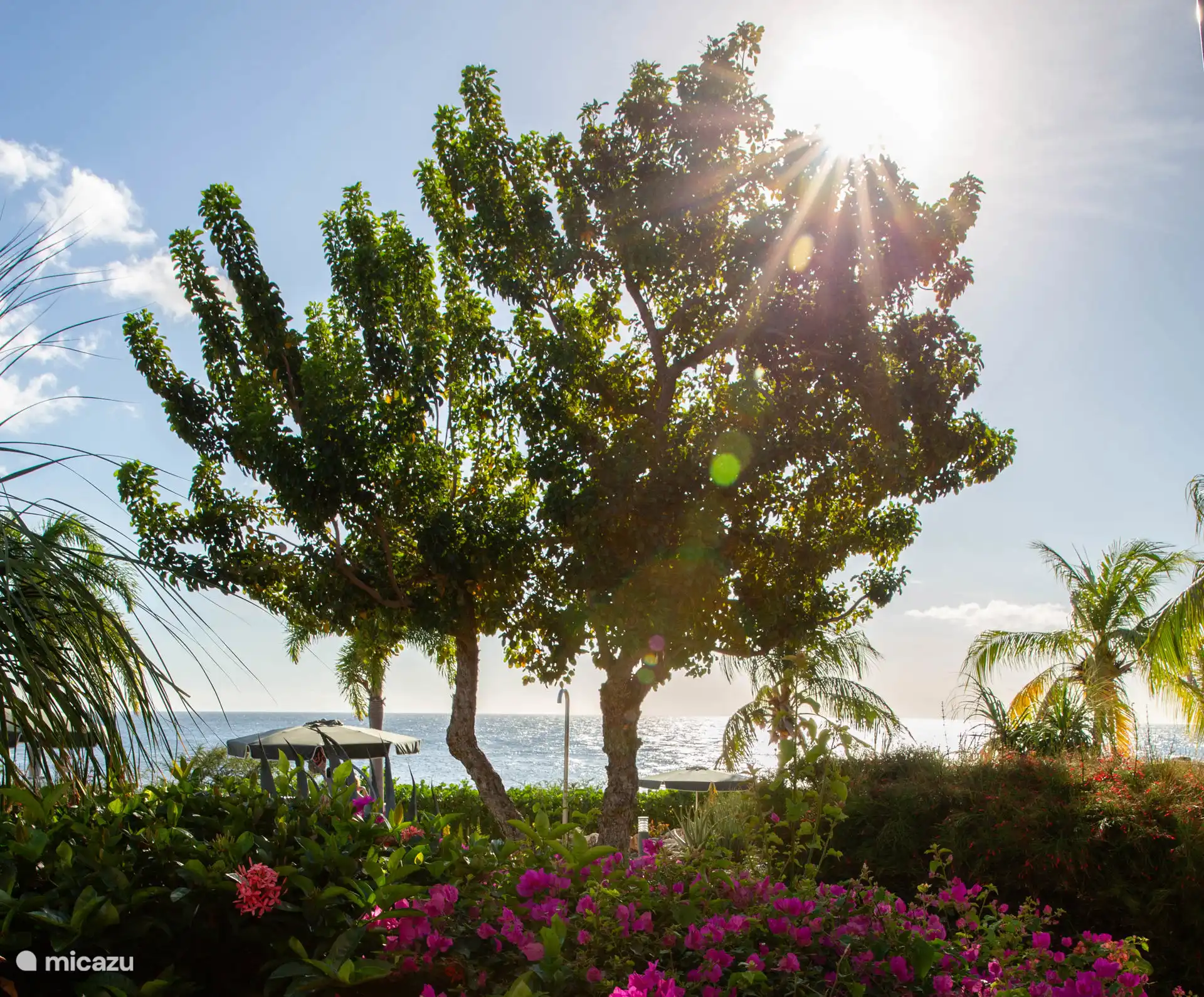 Uitzicht vanaf het terras