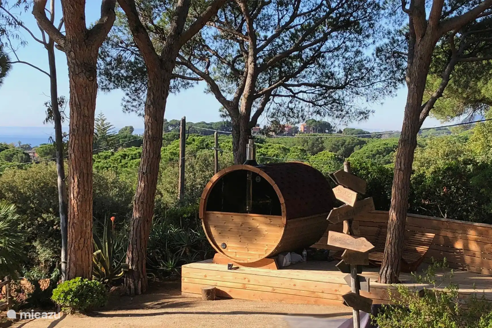 Entre los pinos — la sauna al aire libre de Abrazzo