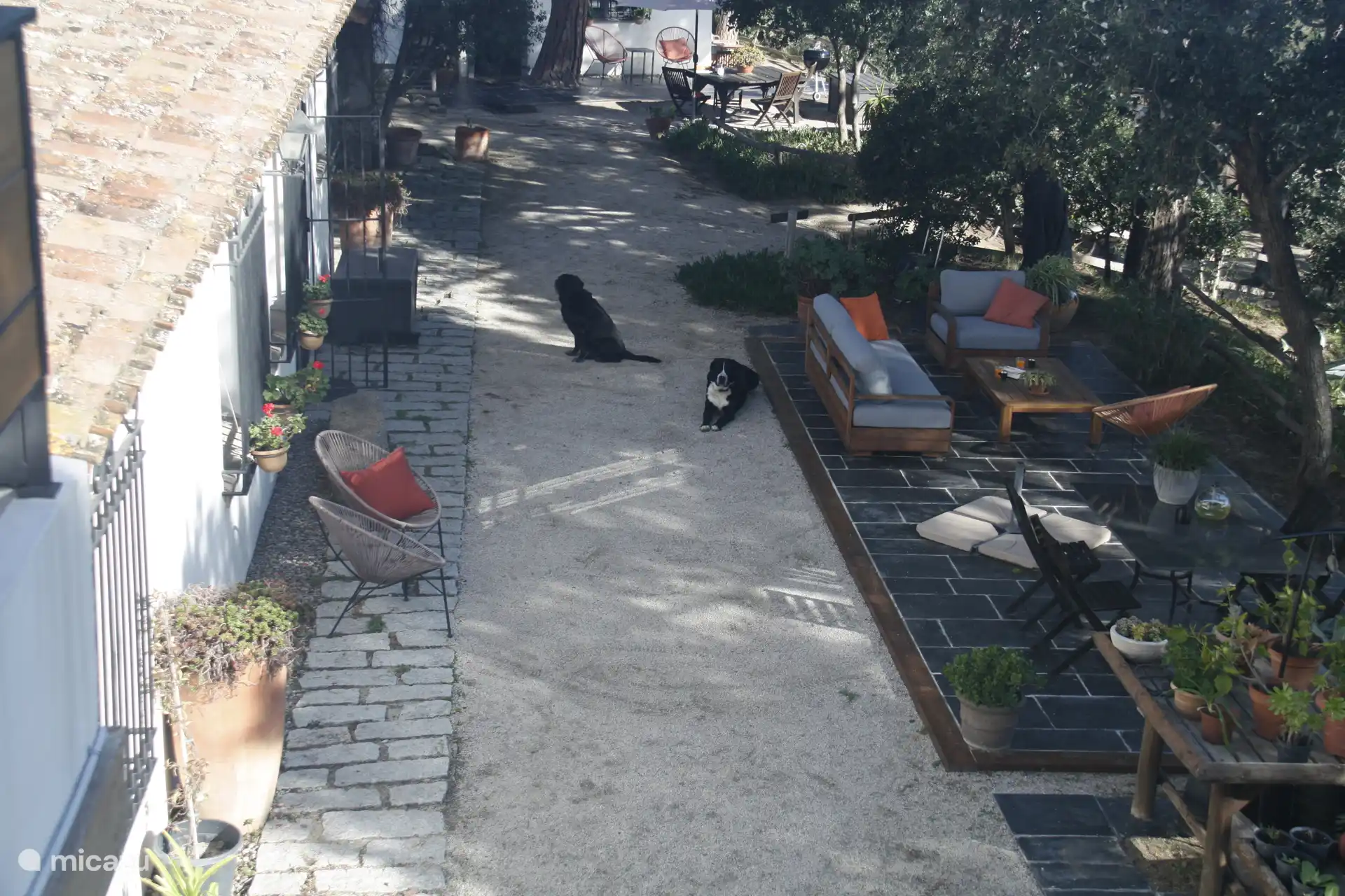 Abrazzo es una finca habitacional — incluyendo a nuestros fieles tutores