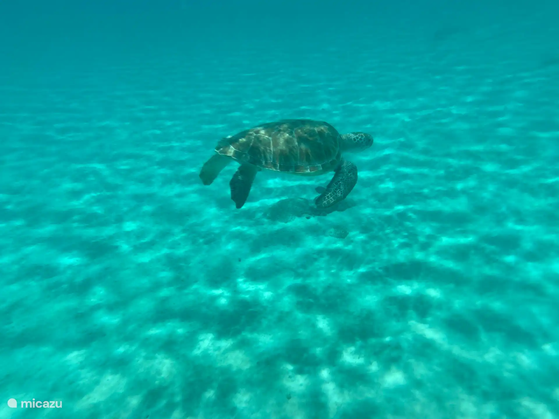 Daaibooi beach, een geweldige plek om te snorkelen 