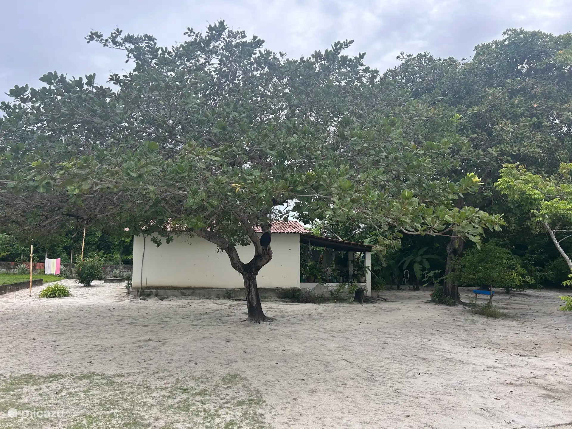 Haus des Hausmeisters 
Die Immobilie hat einen rund um die Uhr betreuten Hausmeister