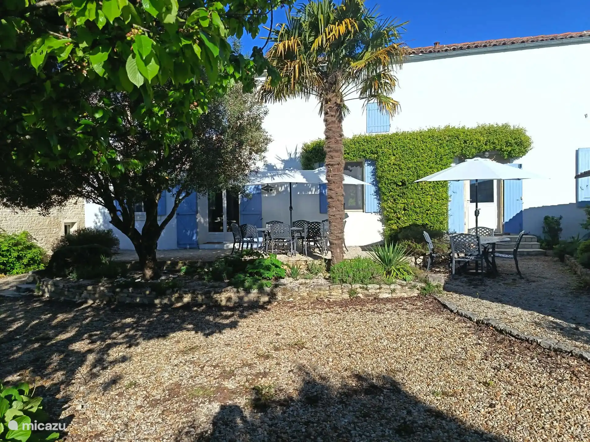 Courtyard rear of house