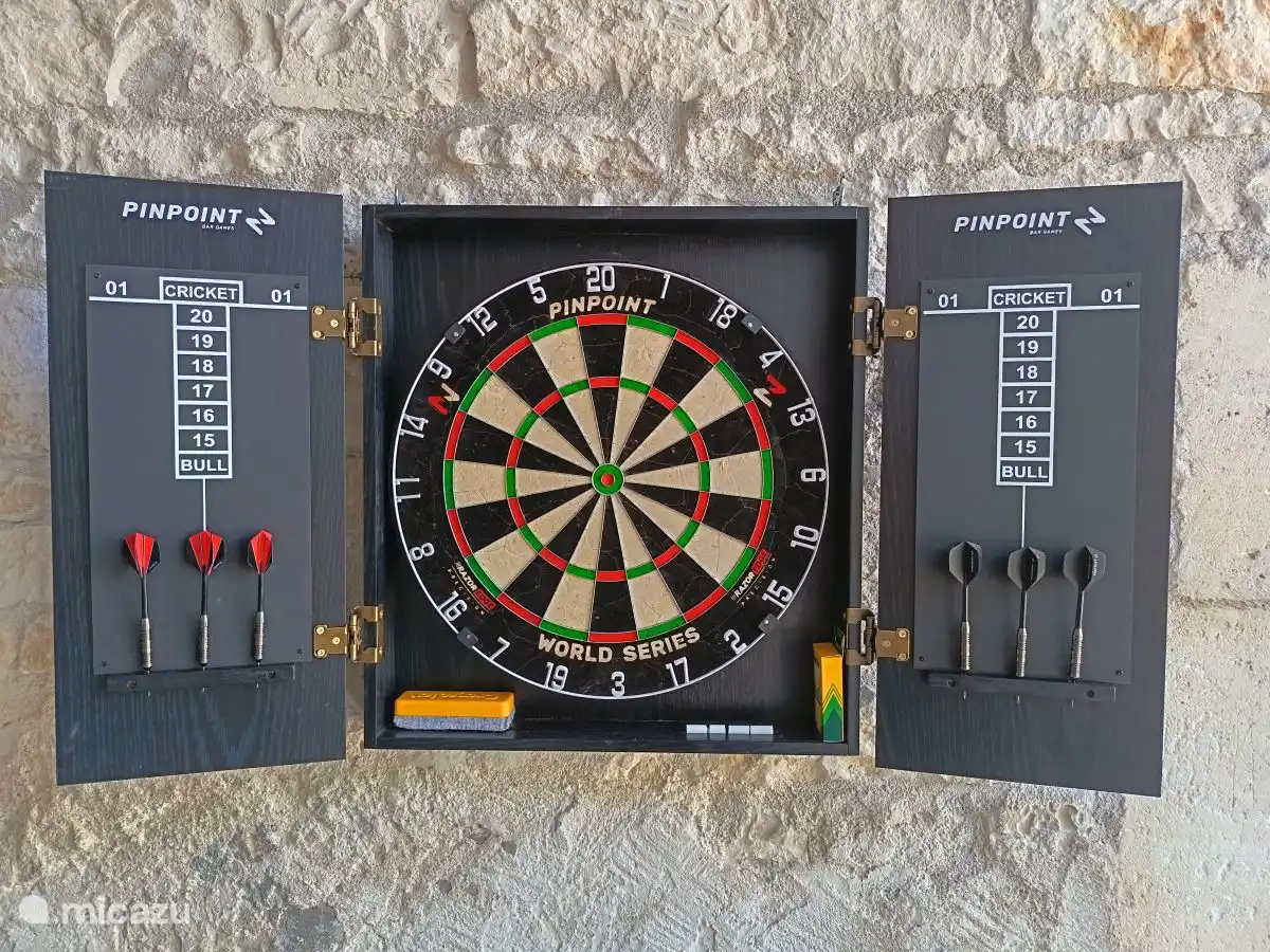 Cible de fléchettes