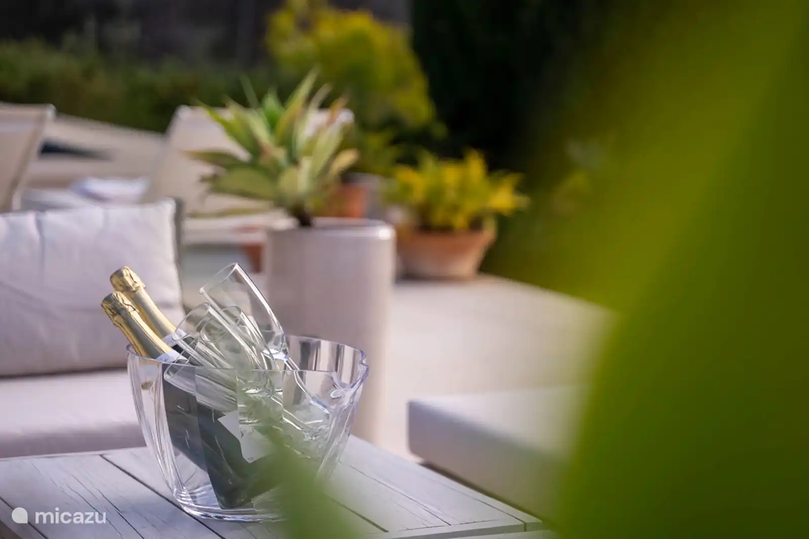 Swimming pool surrounded by a terrace with sun loungers, garden with trees, nature and mountain views, outdoor lounge.