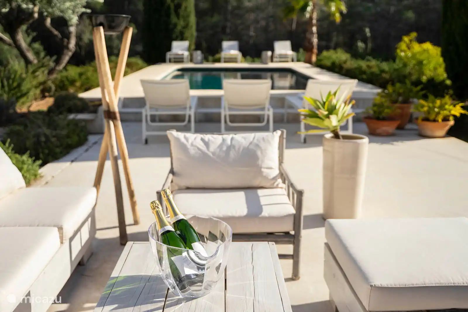 Swimming pool surrounded by a terrace with sun loungers, garden with trees, nature and mountain views, outdoor lounge.