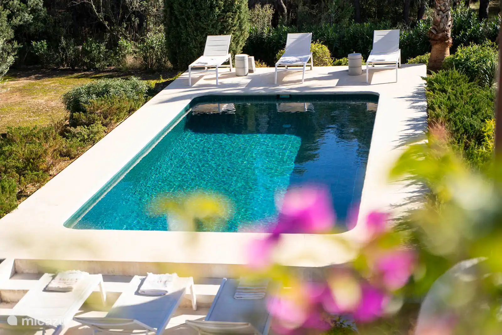 Swimming pool surrounded by a terrace with sun loungers, garden with trees, nature and mountain views, outdoor lounge.