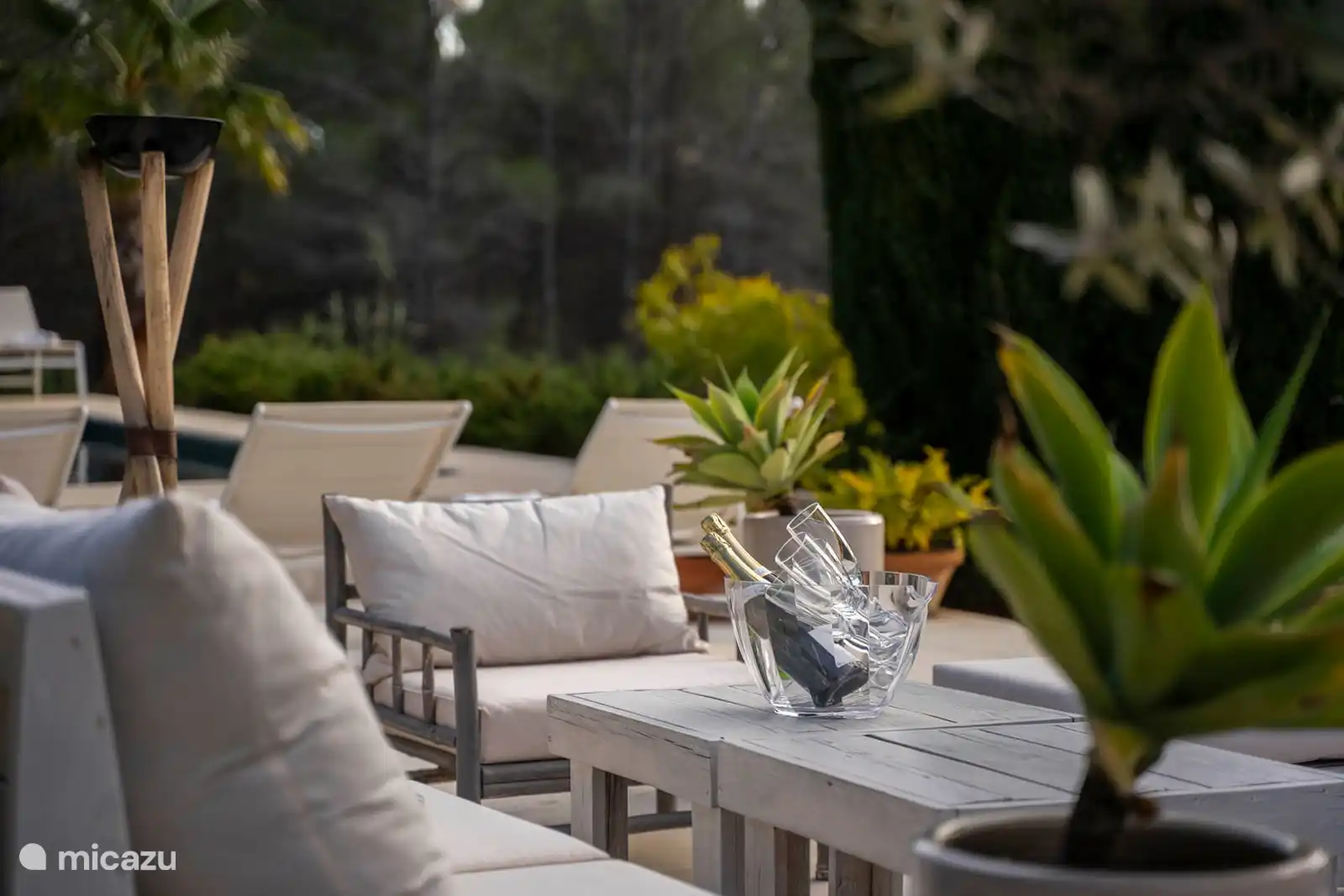 Swimming pool surrounded by a terrace with sun loungers, garden with trees, nature and mountain views, outdoor lounge.