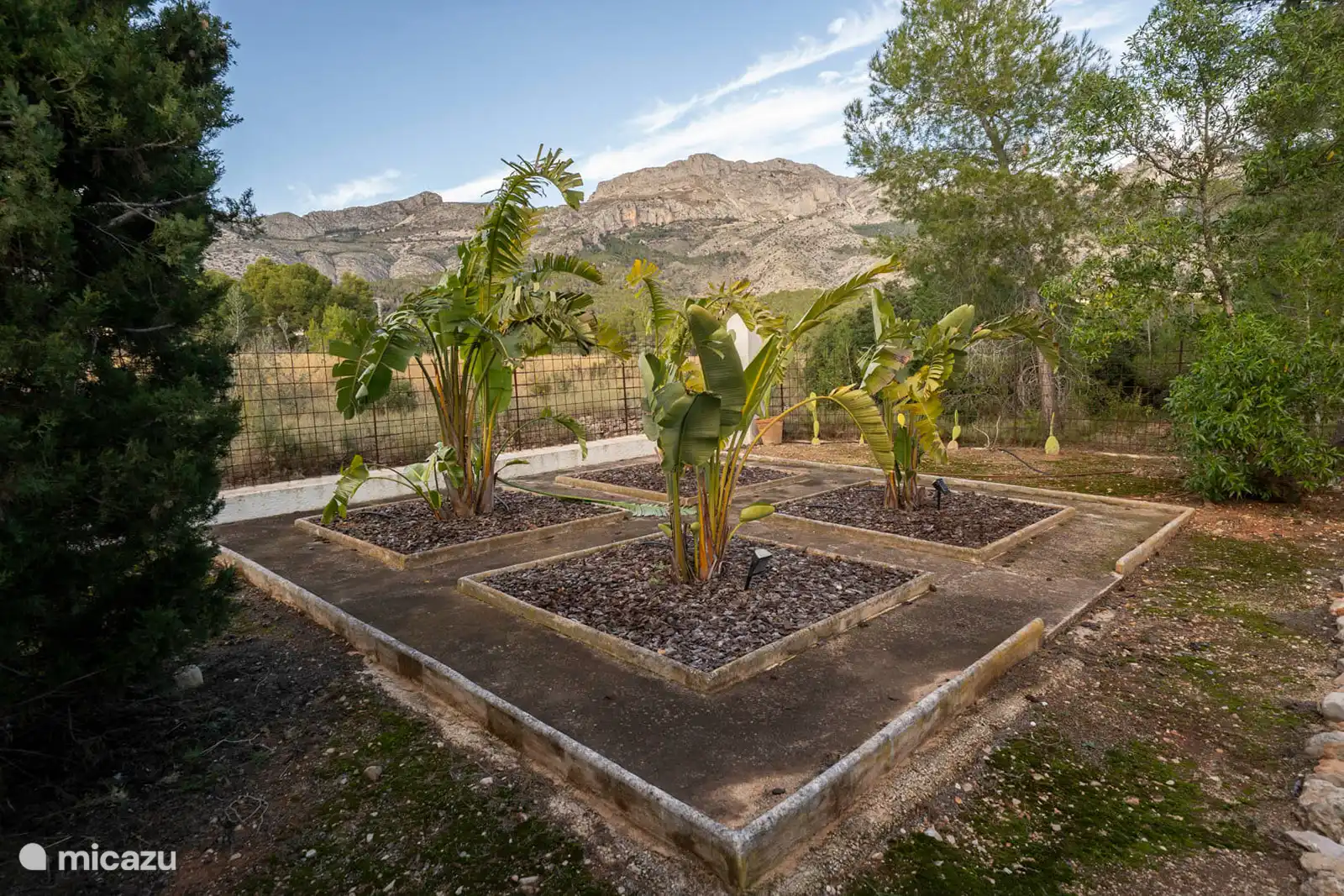 Garden, mountain view.
