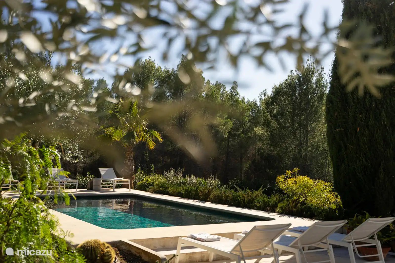 Swimming pool surrounded by a terrace with sun loungers, garden with trees, nature and mountain views, outdoor lounge.