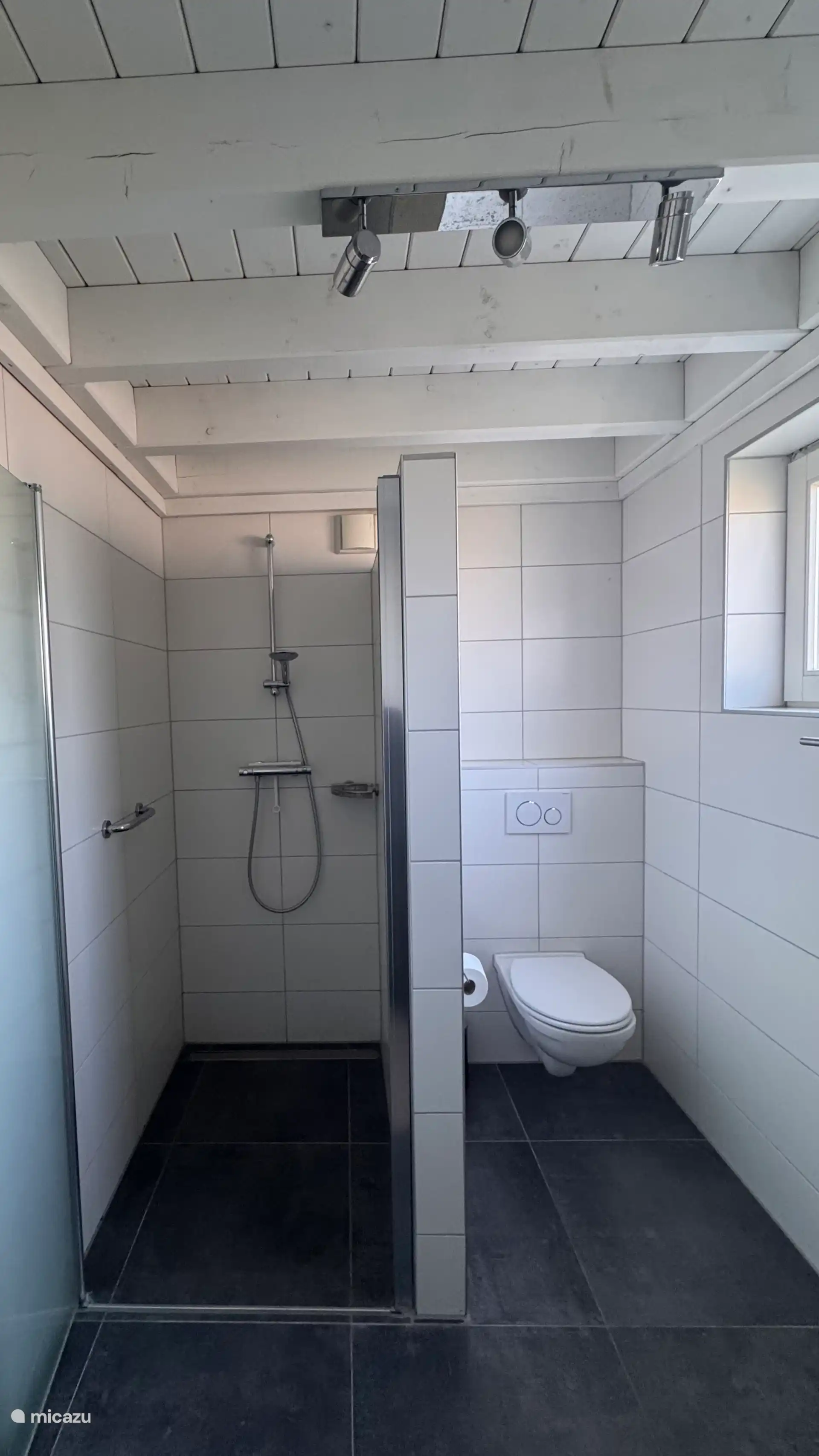 Moderne badkamer met ruime inloopdouche en lichte tegels. De strakke afwerking en het zachte daglicht zorgen voor een frisse en rustige uitstraling.