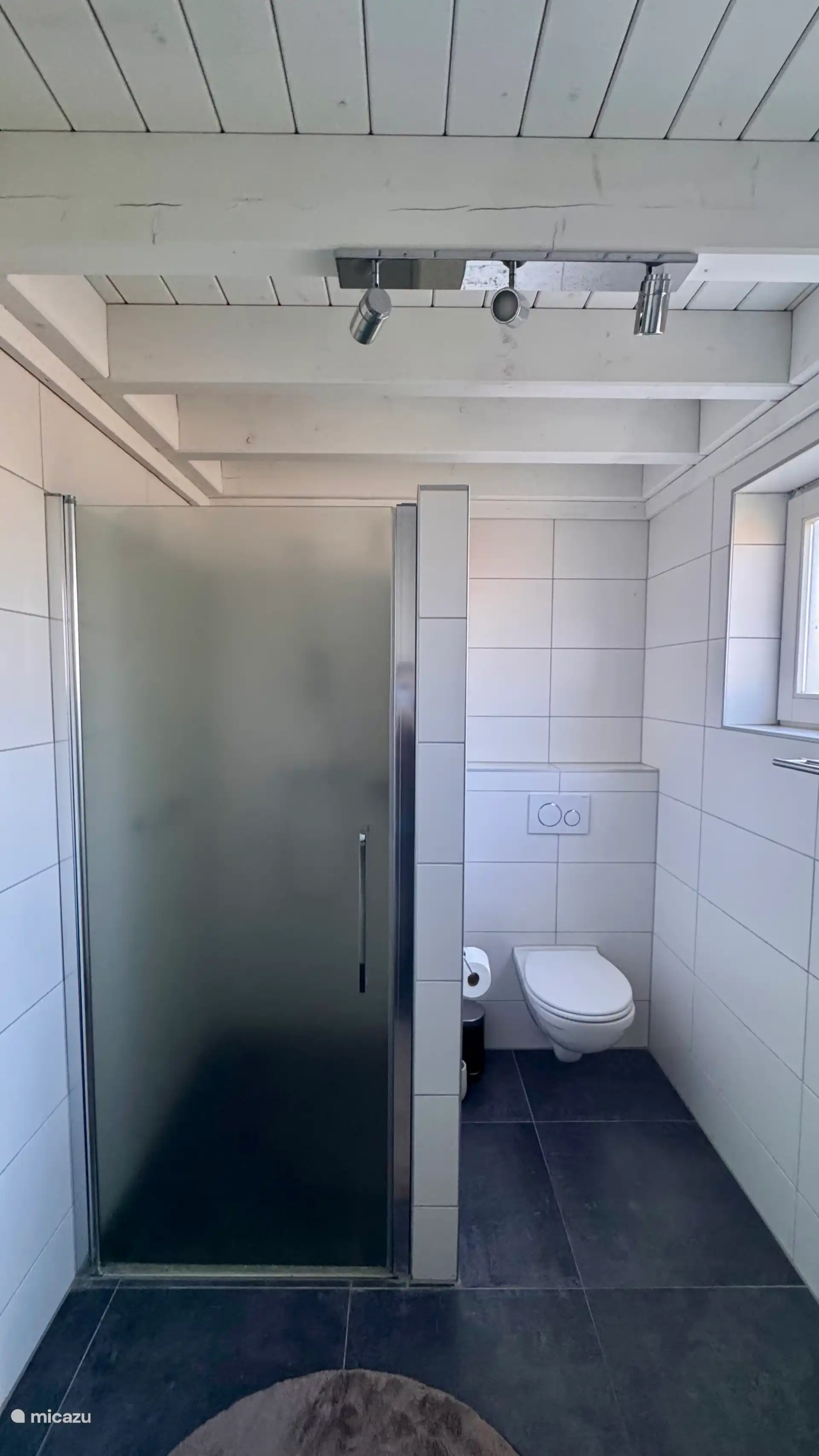 Frisse badkamer met lichte tegels en een moderne inloopdouche. De strakke lijnen en het natuurlijke daglicht zorgen voor een rustige, verzorgde uitstraling.