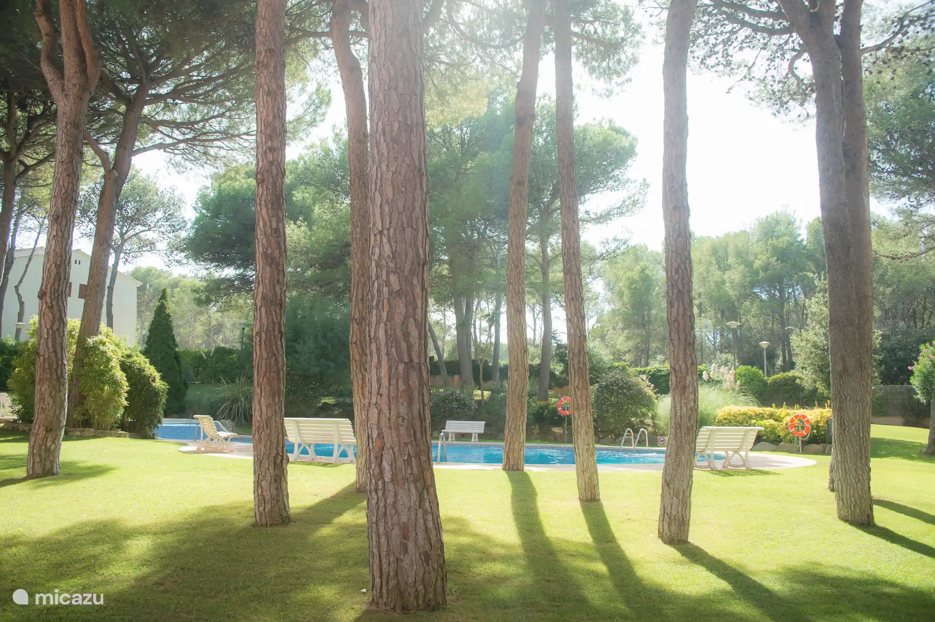 Gemeenschapszwembad en tuin