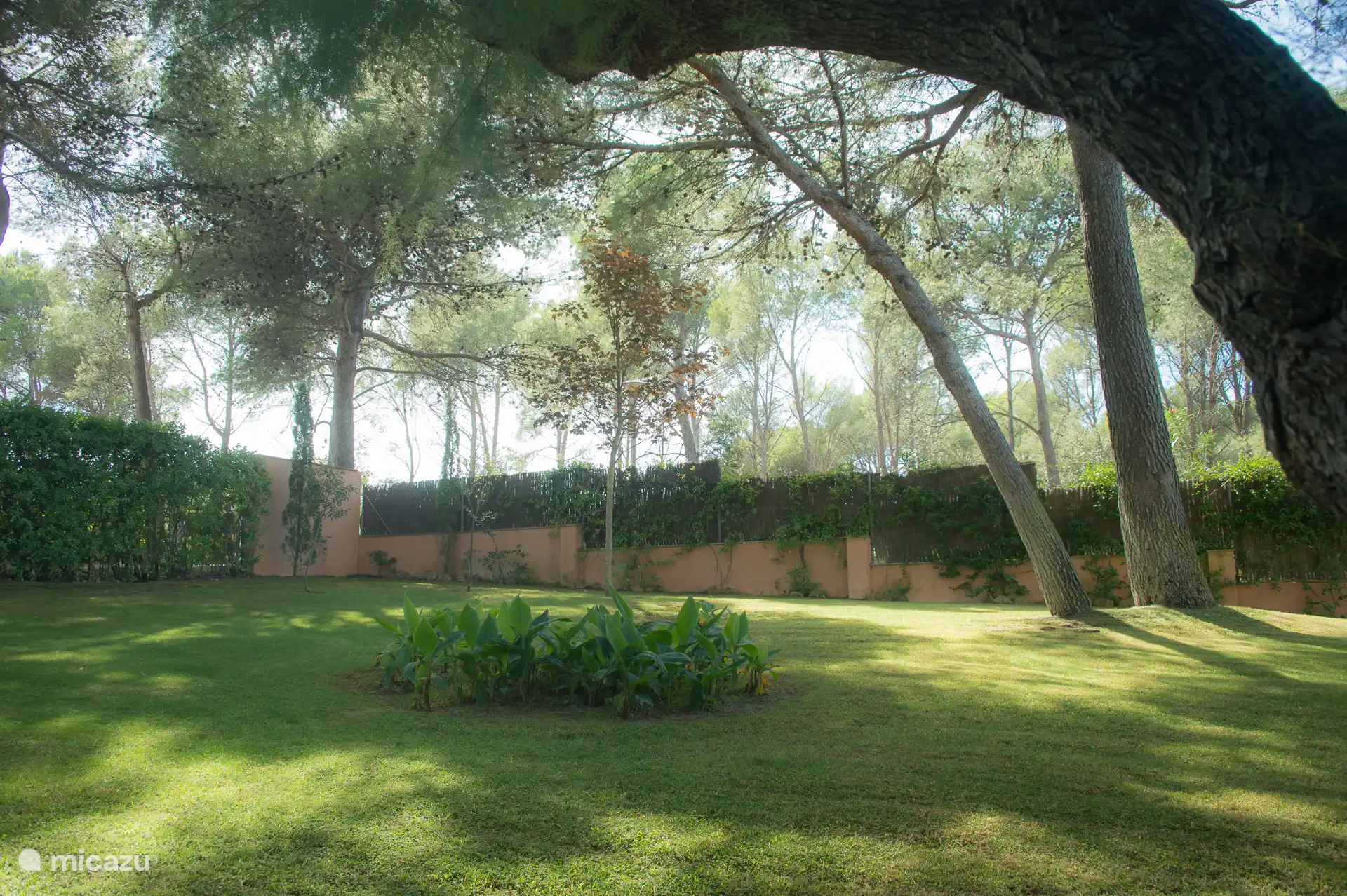 Gemeenschappelijke tuin