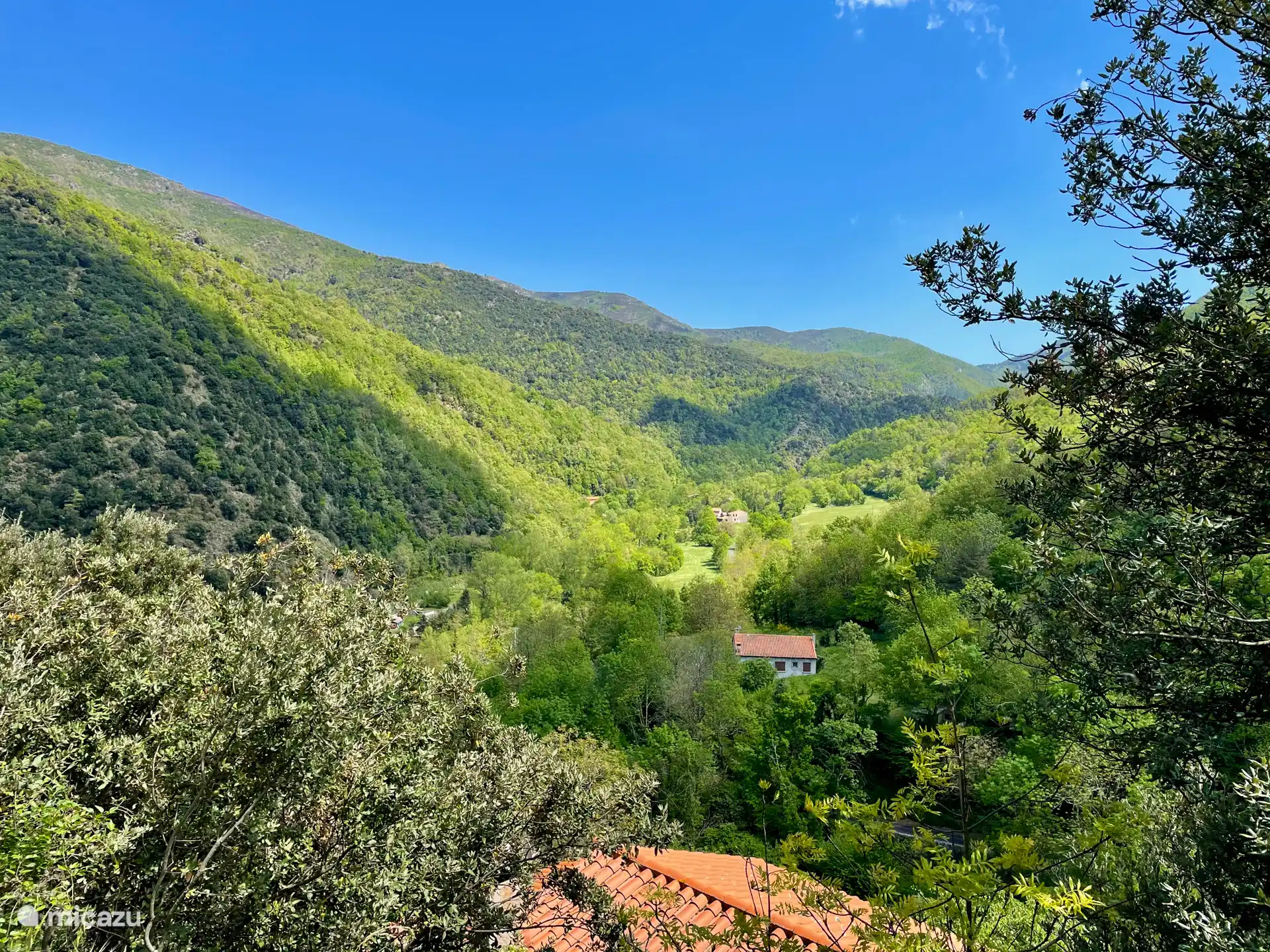 Vistas preciosas desde el salón