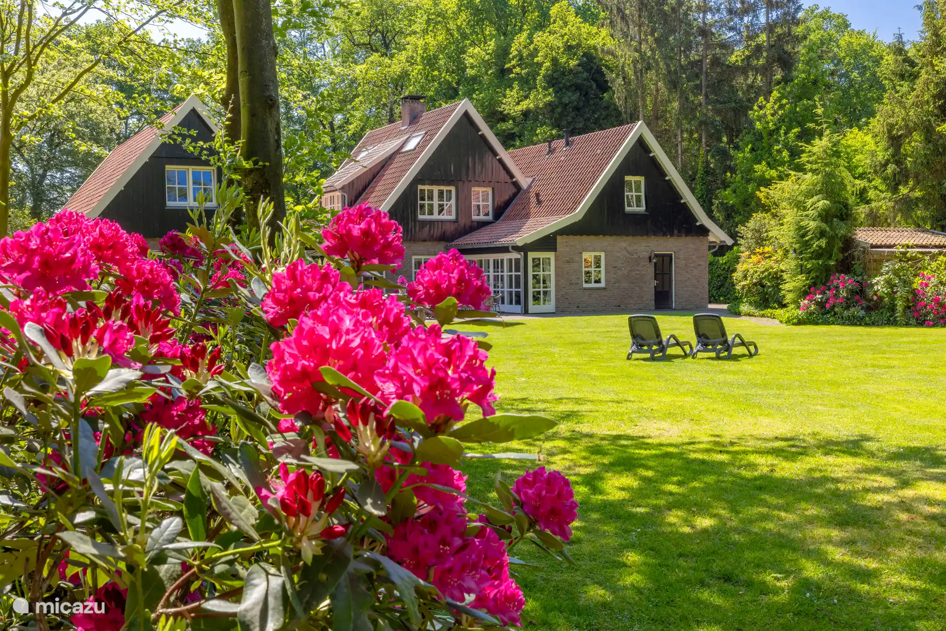 Nouvelles location de vacances Pays-Bas, Overijssel, Losser – maison de vacances  La maison de campagne avec jacuzzi et kota !