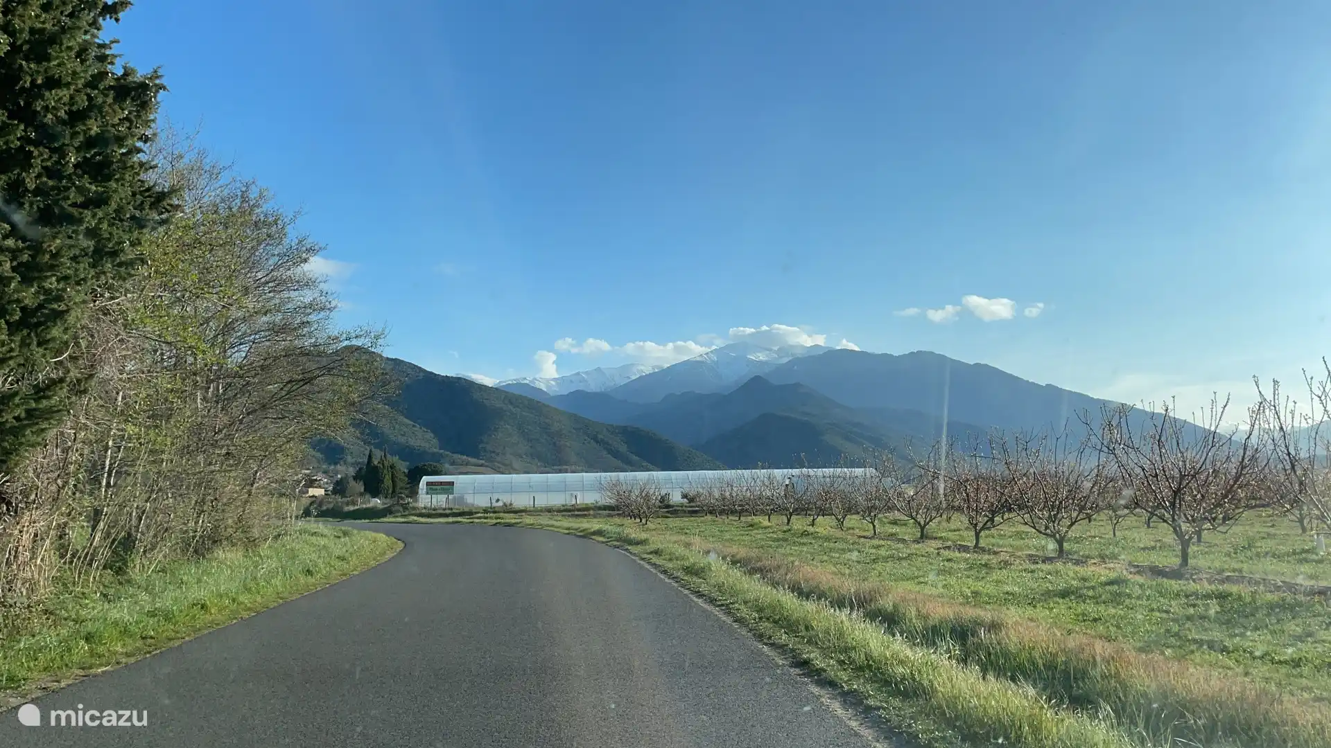 La región con muchos árboles frutales