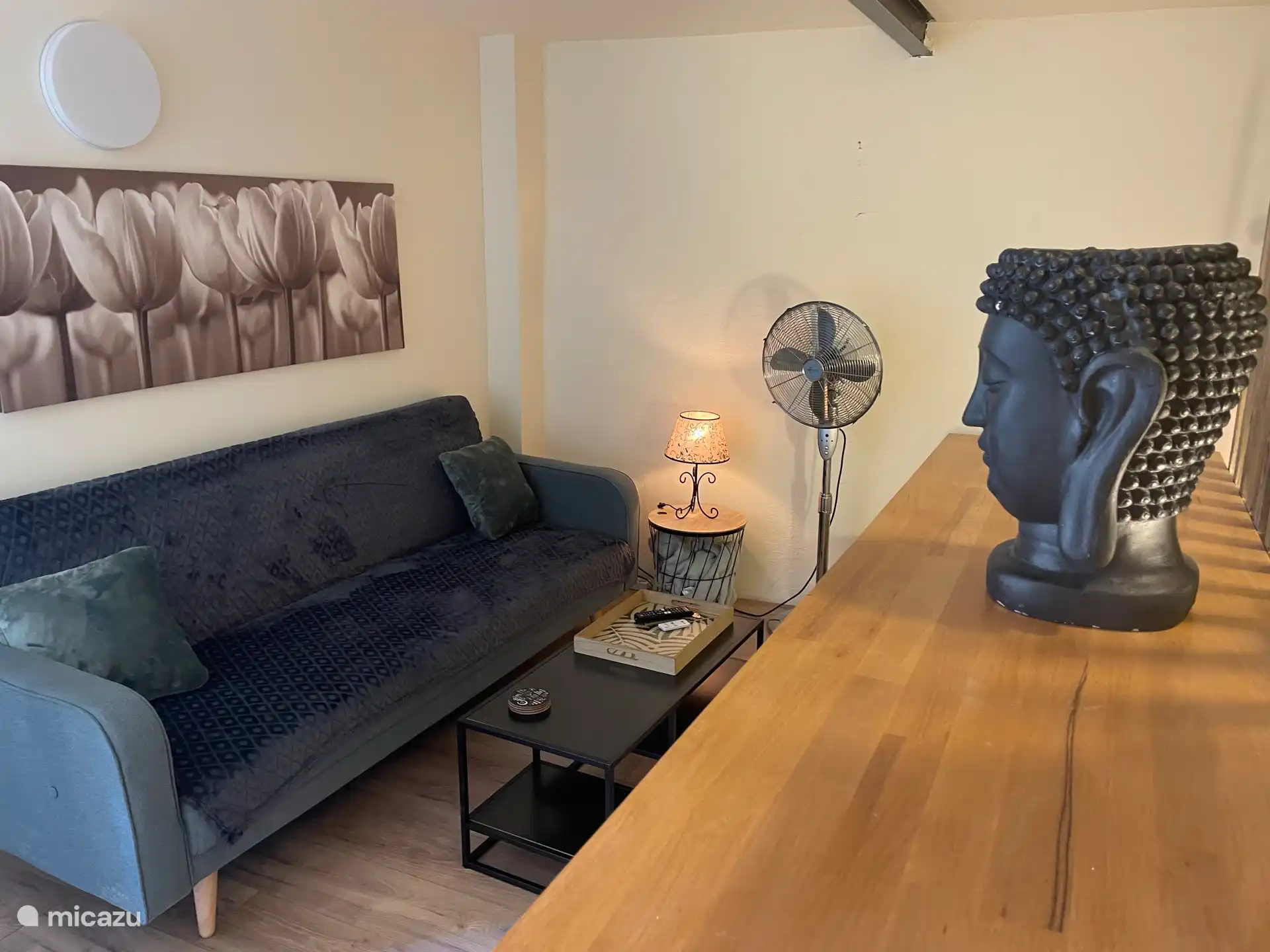 Disfruta de un salón decorado con buen gusto