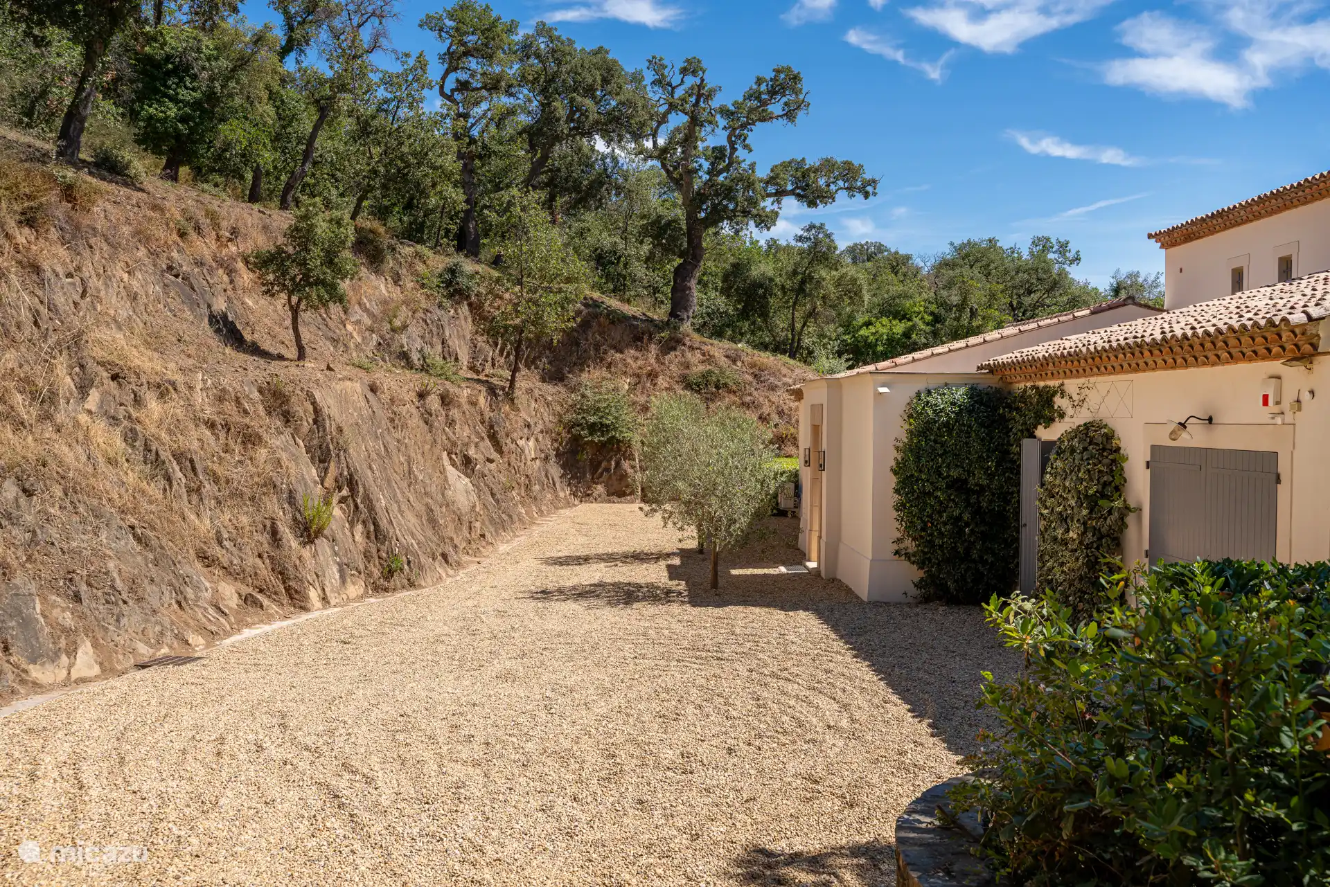 Front of the house, natural landscape