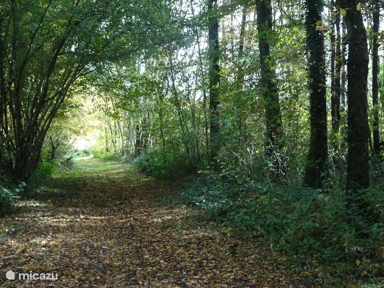 Foto van de directe omgeving, waar je heerlijk kan wandelen