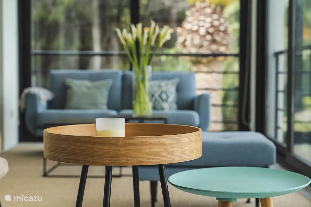 Salon avec canapés, TV, climatisation, accès terrasse.