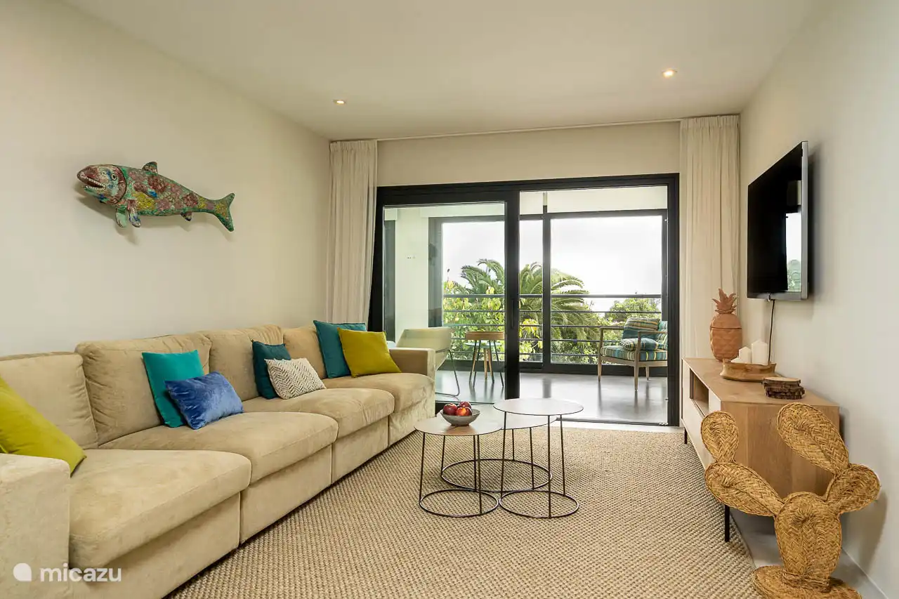 Salon avec canapés, TV, climatisation, accès terrasse.