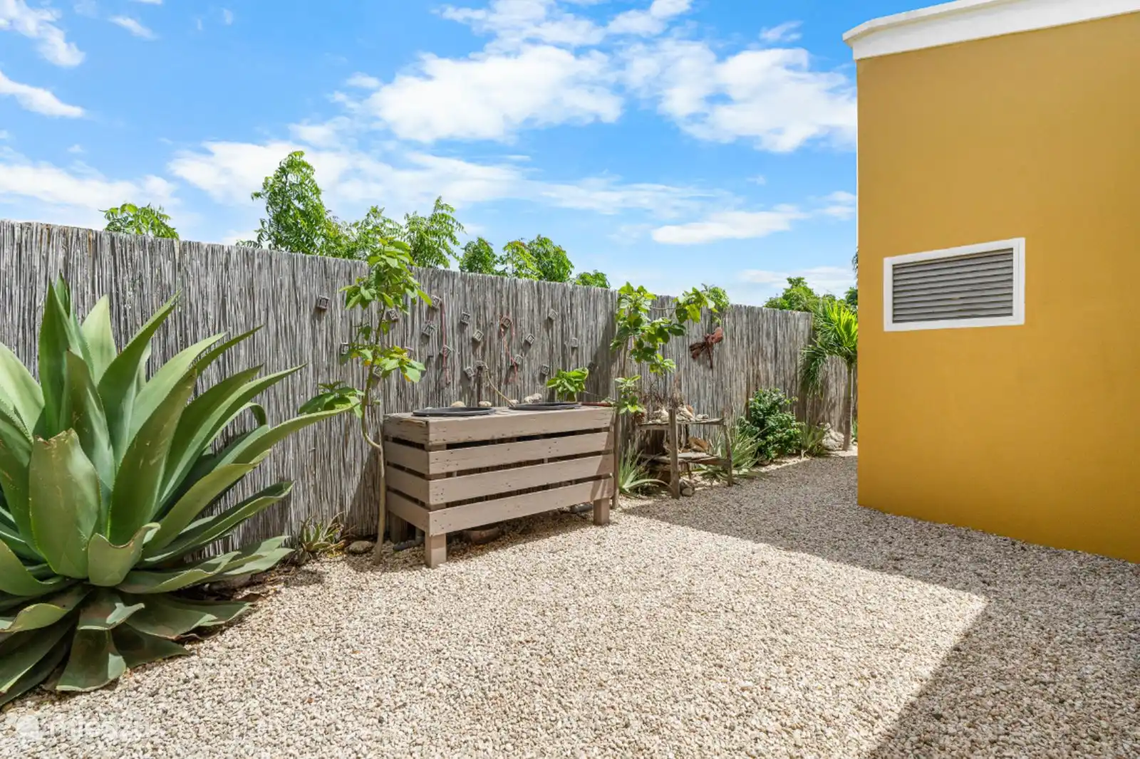 Spoelbakken voor duik/snorkel/surf spullen