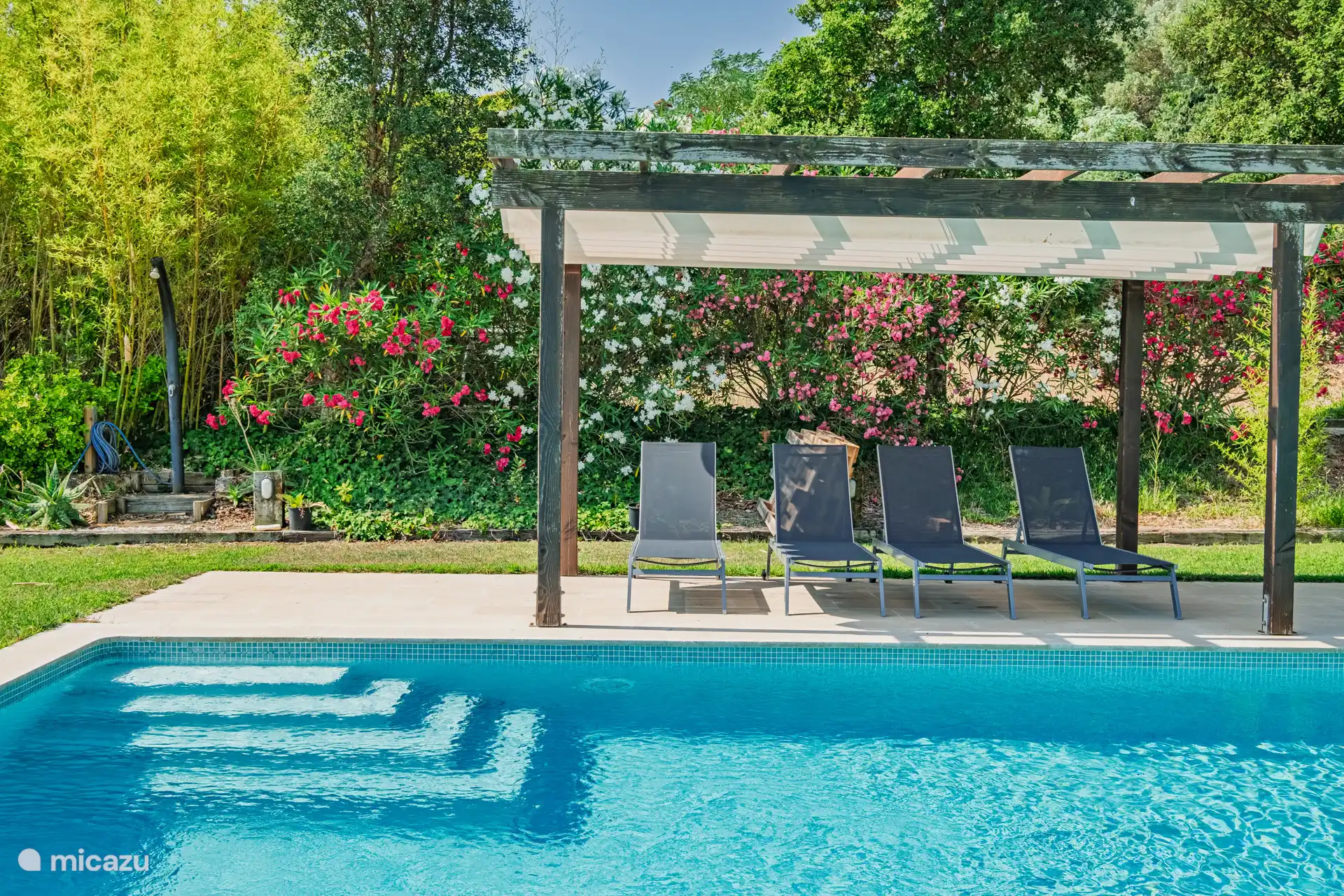 Gemeenschappelijke Pool