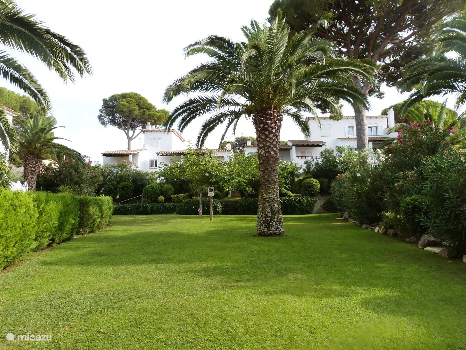 Gemeenschappelijke tuin