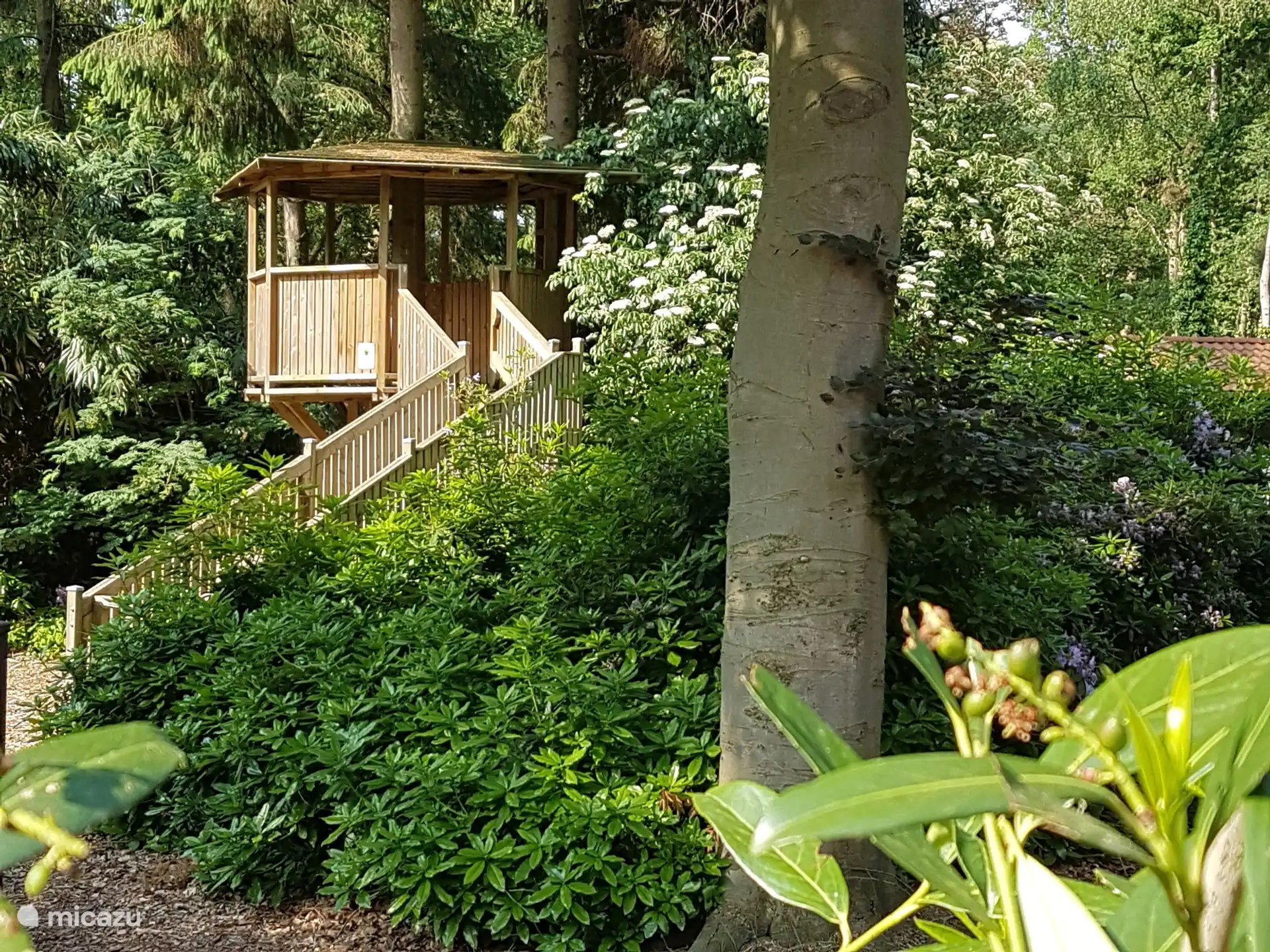 Cabane dans l’arbre dans notre aire de jeux