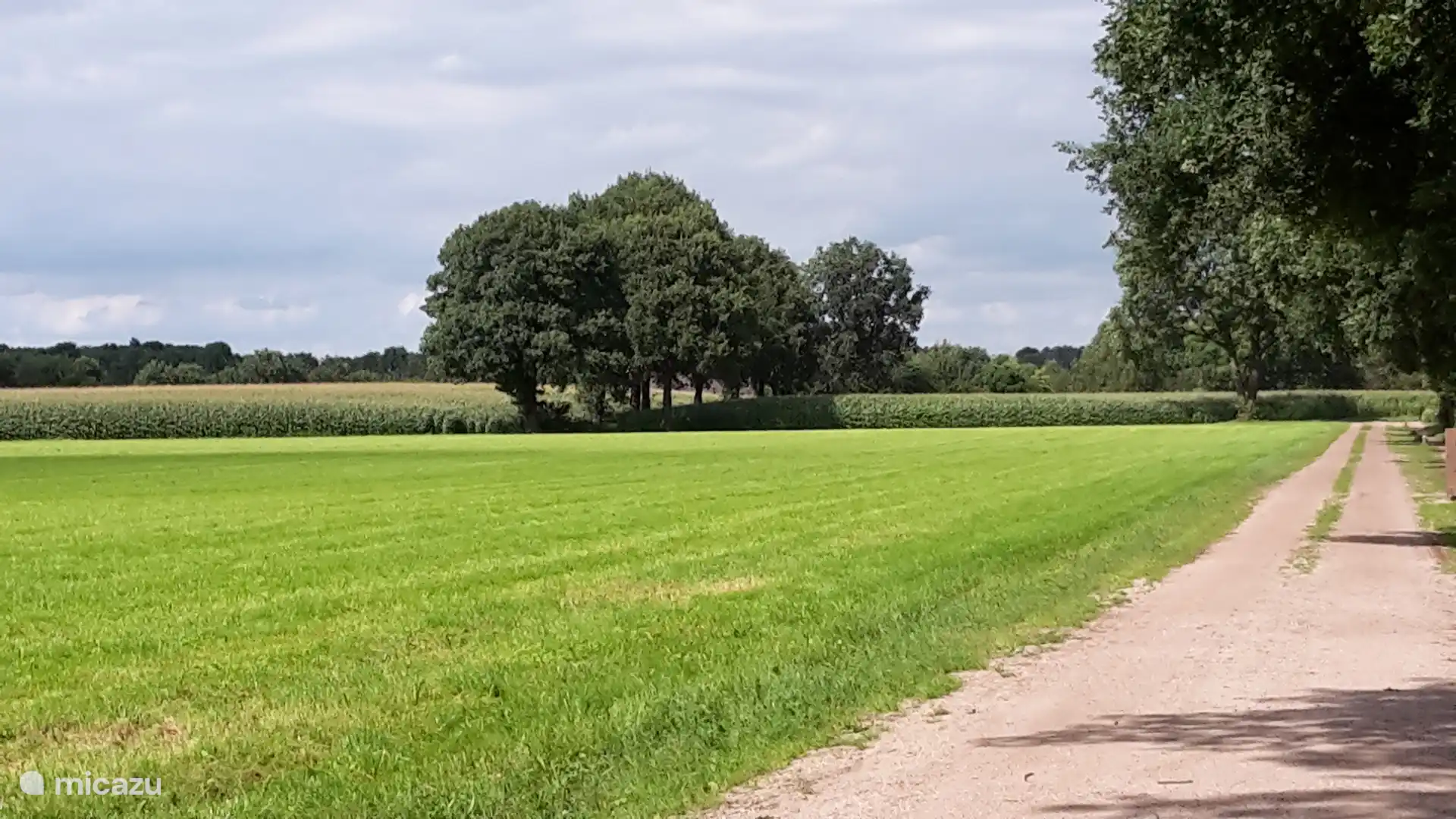 Notre parc à petite échelle est situé sur une route de terre tranquille