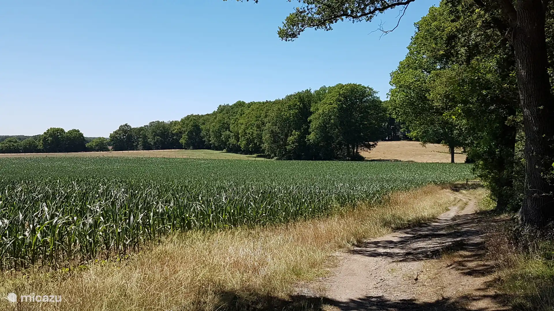 Jolie promenade sur le Lochemse Berg à Barchem (point de départ à 8 minutes en voiture)
