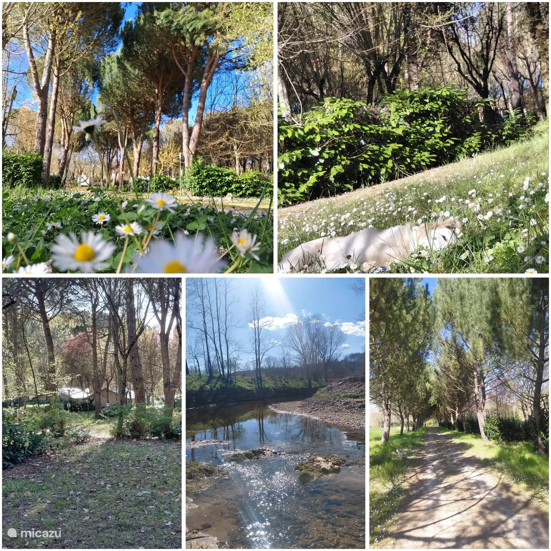 Fotos van de natuur op de camping 