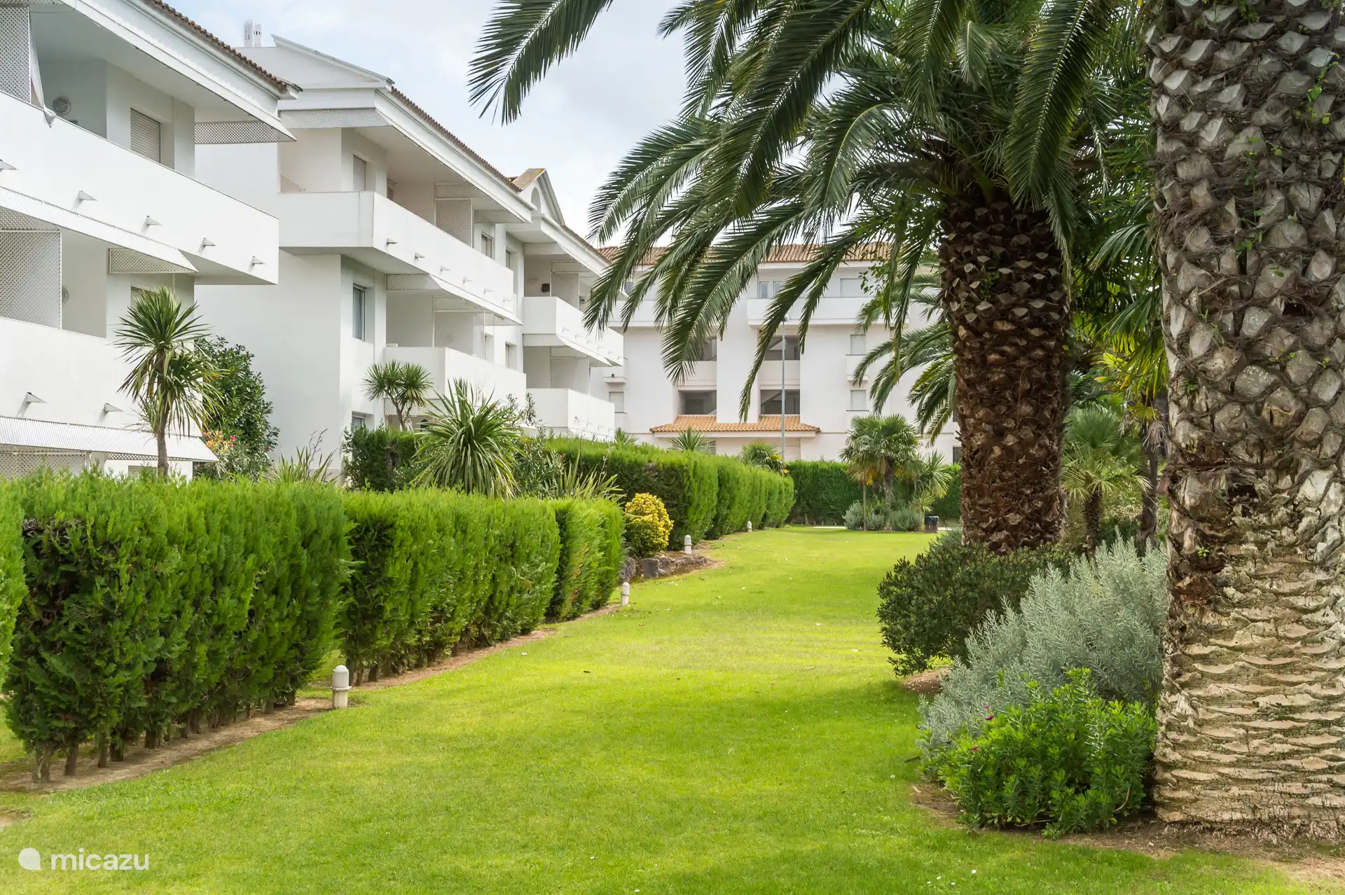 Communal garden & pool