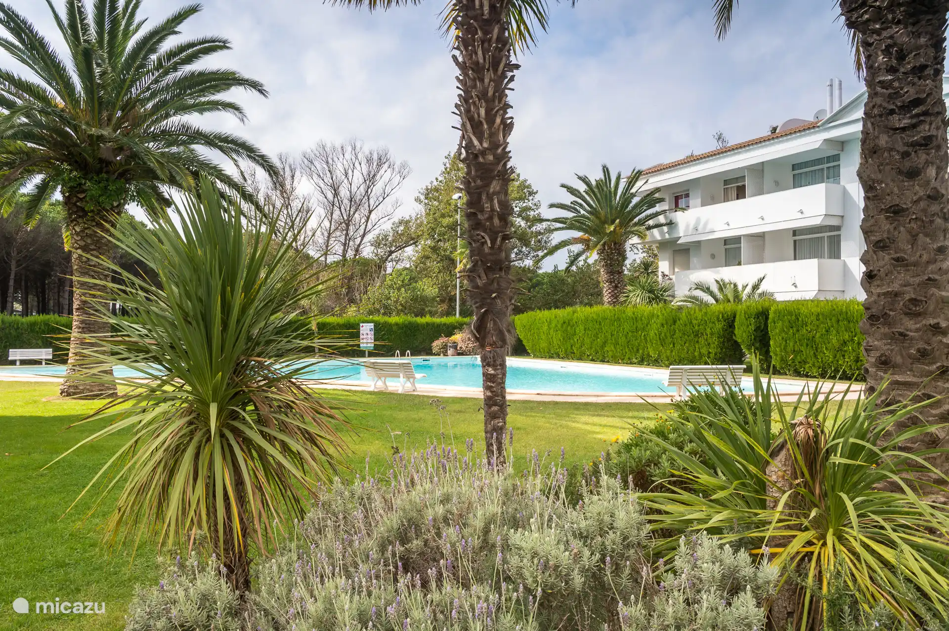 Communal garden & pool