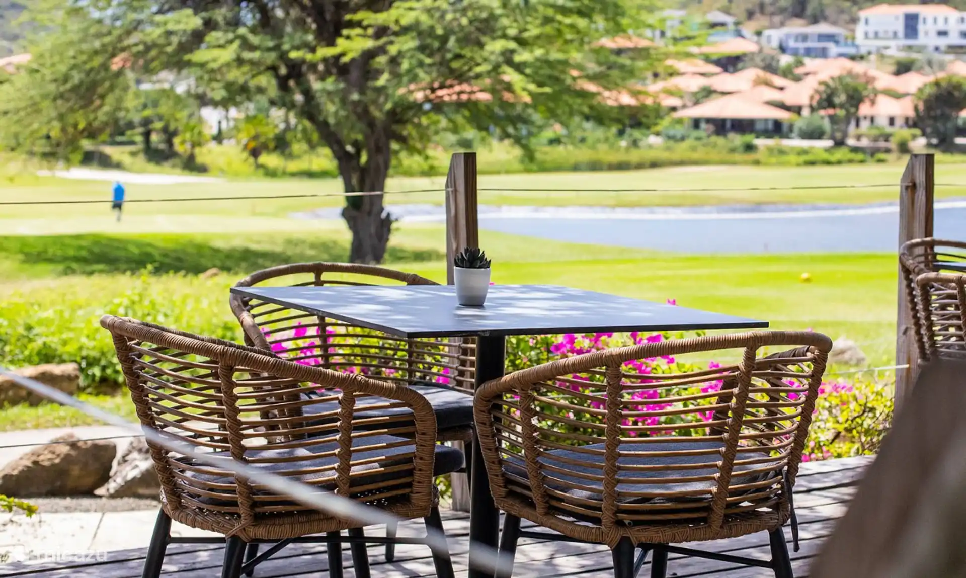 Zitronengras – genießen Sie Ihre Tasse Kaffee, Mittag- oder Abendessen mit Blick auf die Flamingos!