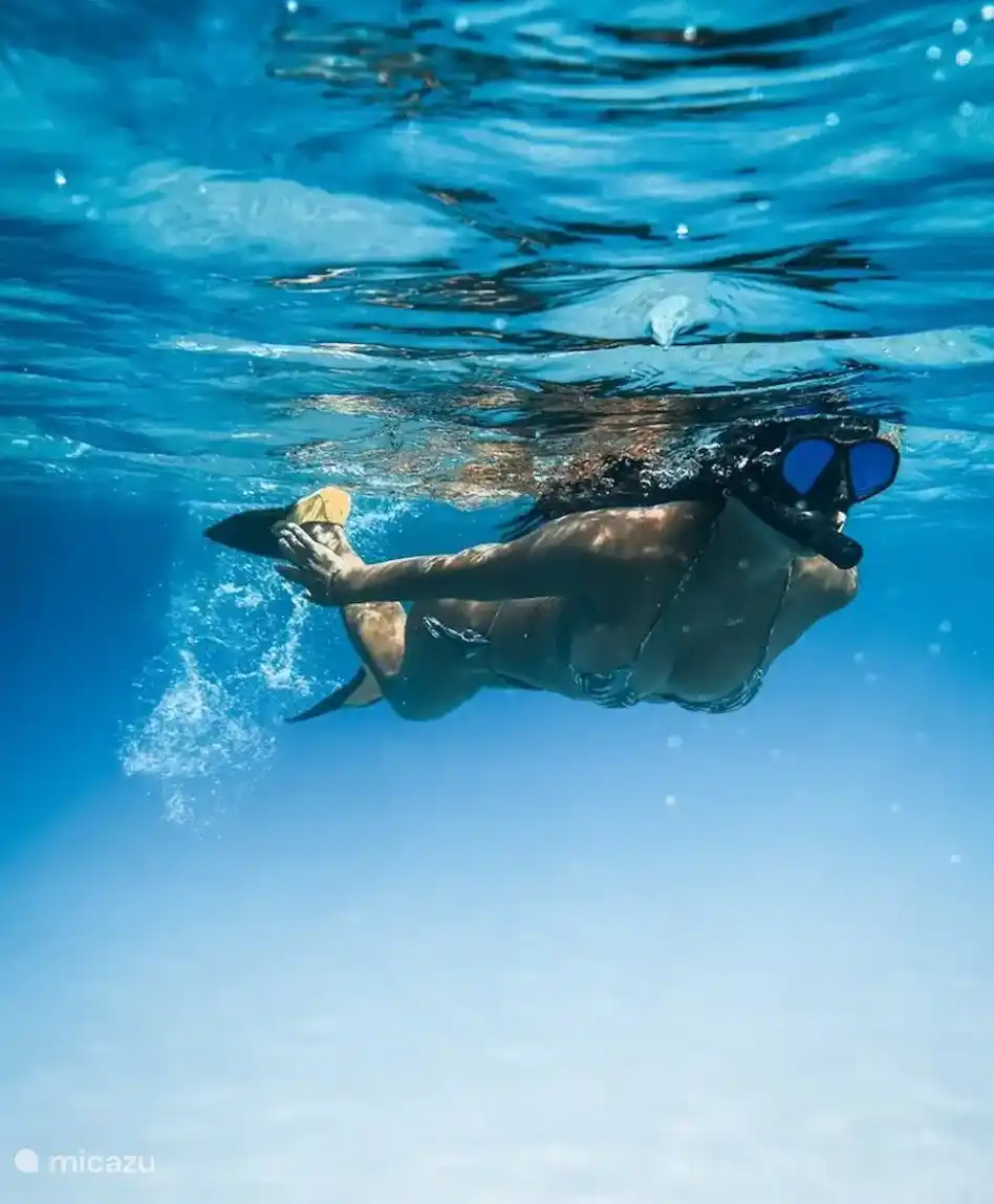 Tauche und erlebe die Unterwasserwelt!