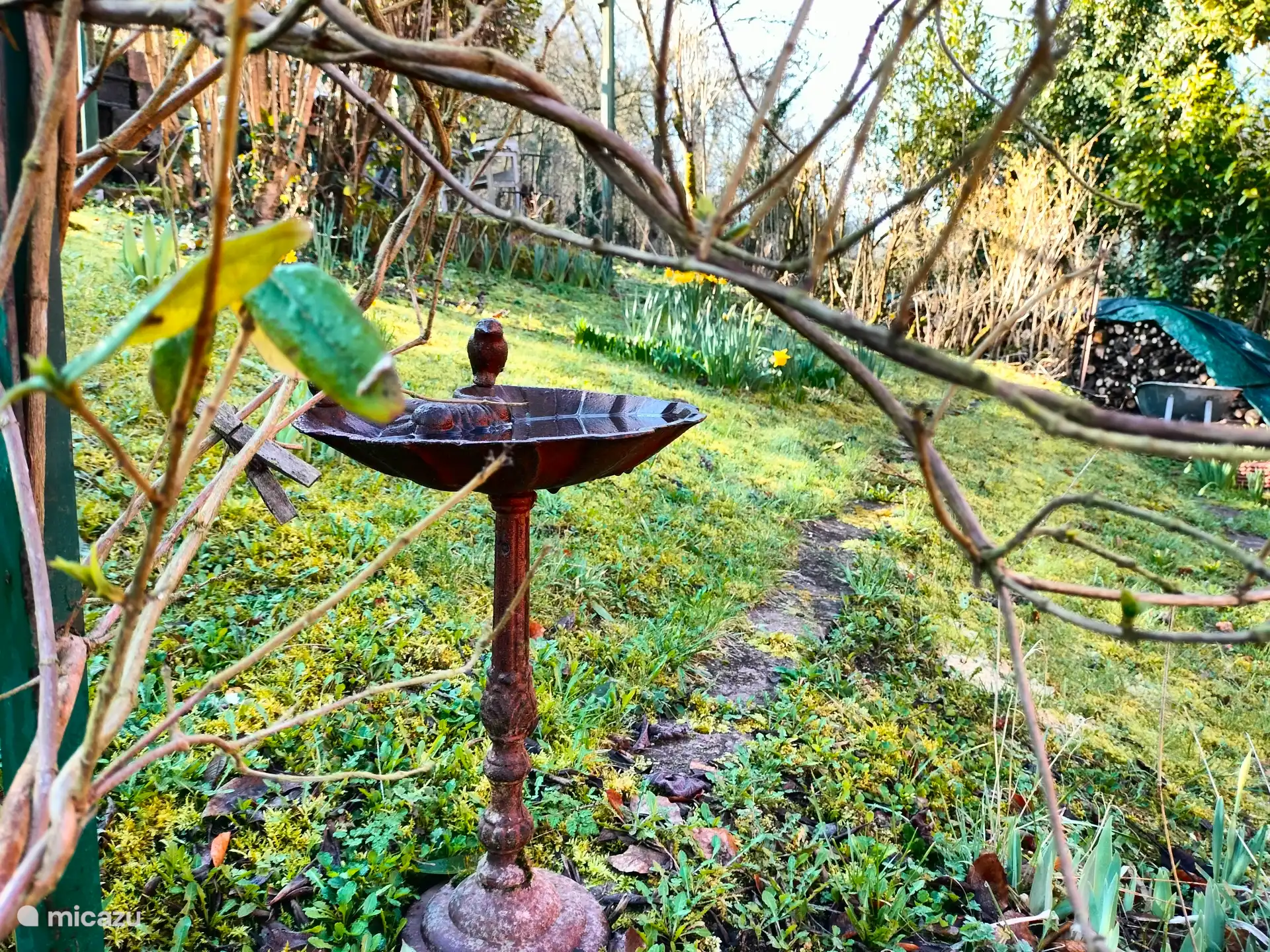 In de tuin (vroege voorjaar)
