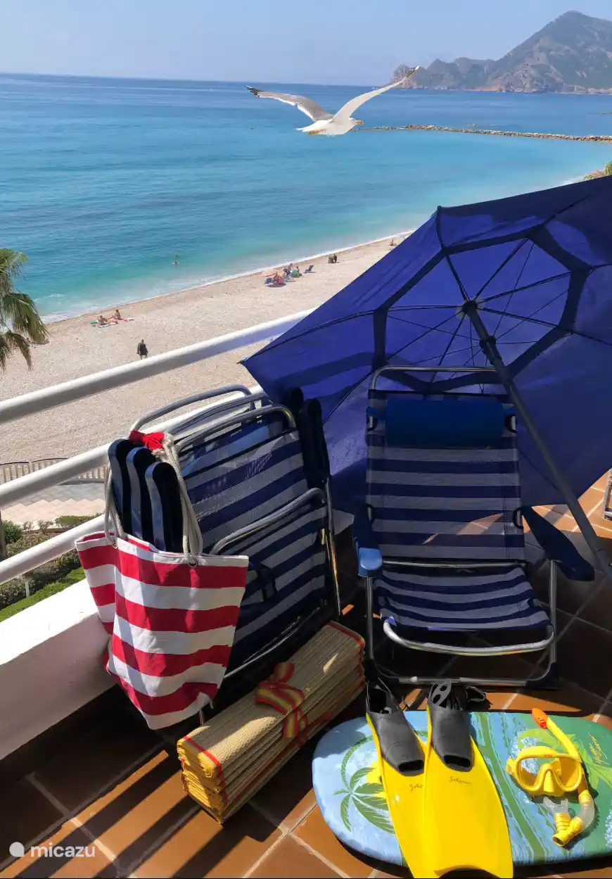 Inbegrepen voor uw gebruik: 4 strandzitplaatsen + 1 parasol en nog wat meer  