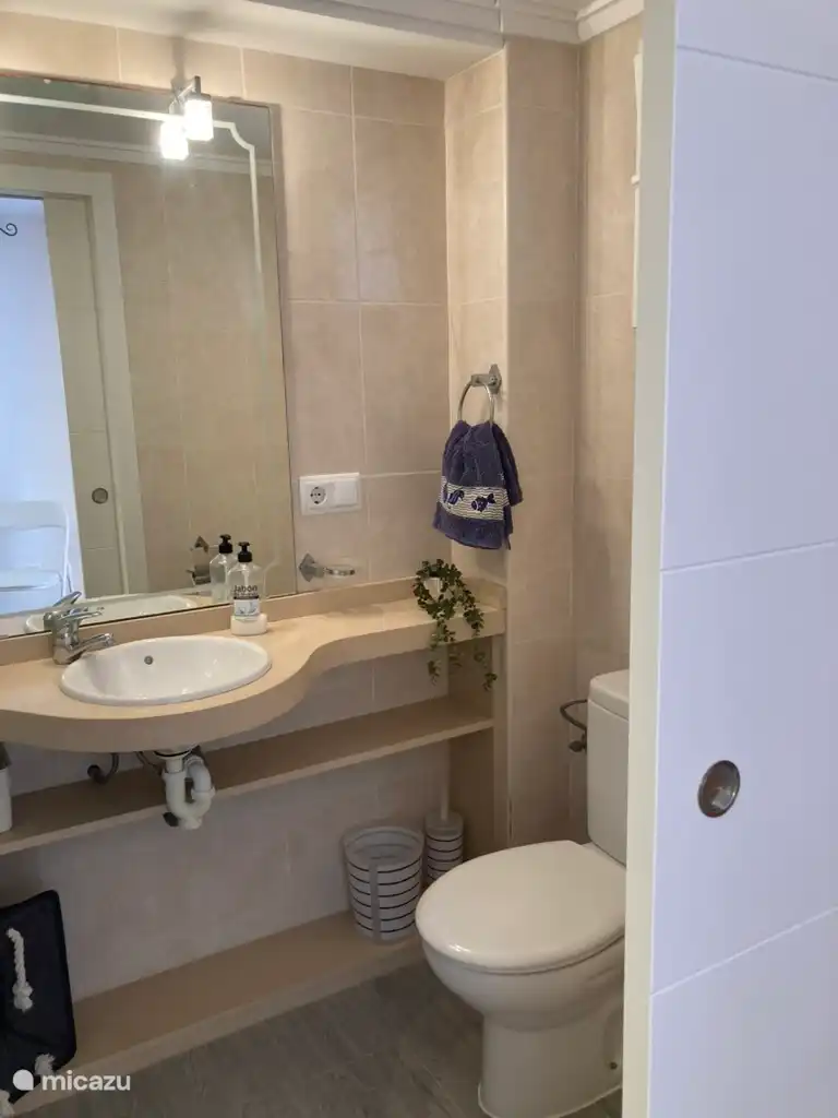 Ensuite badkamer met douche, wc en lavabo